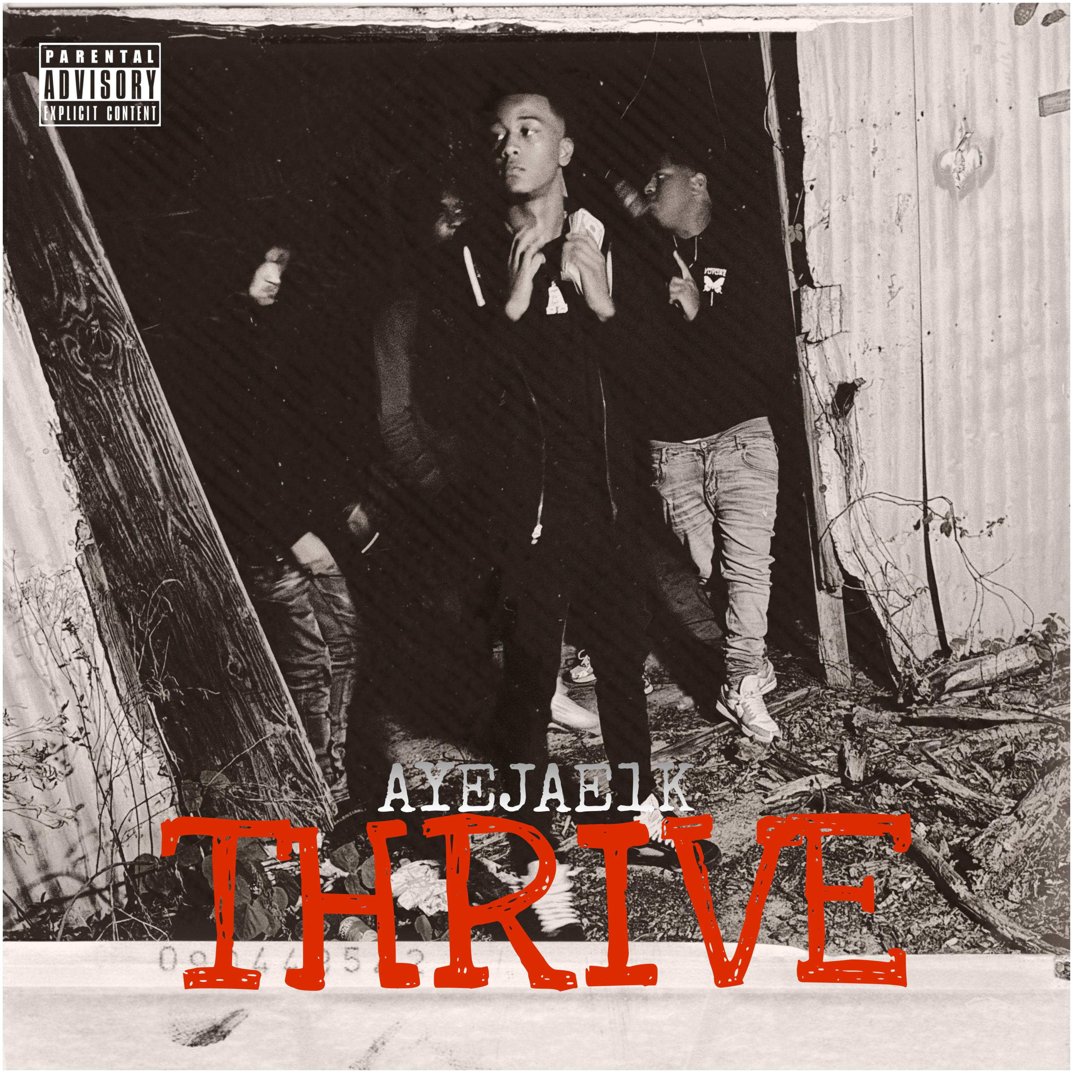 Thrive artwork