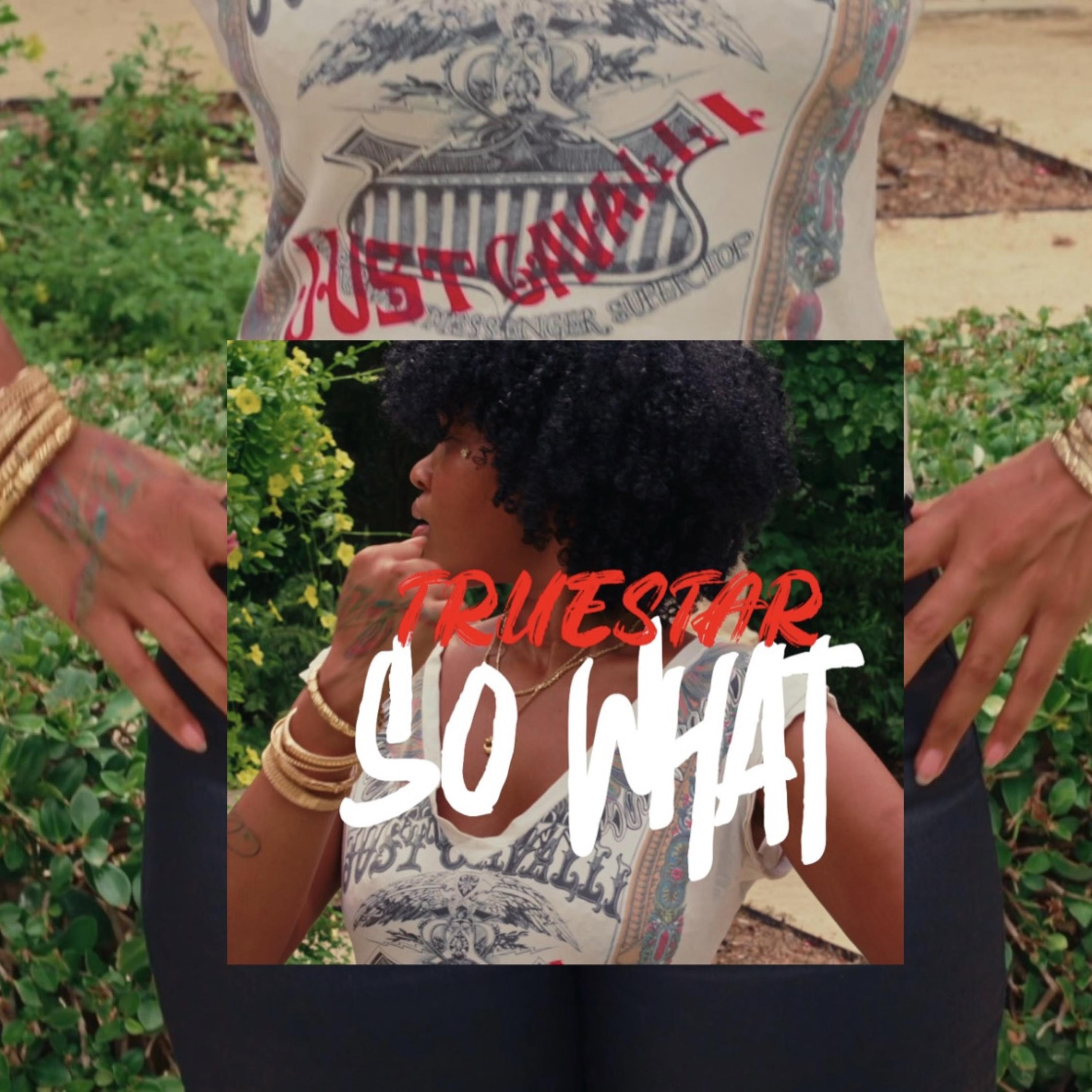 SO WHAT?! artwork