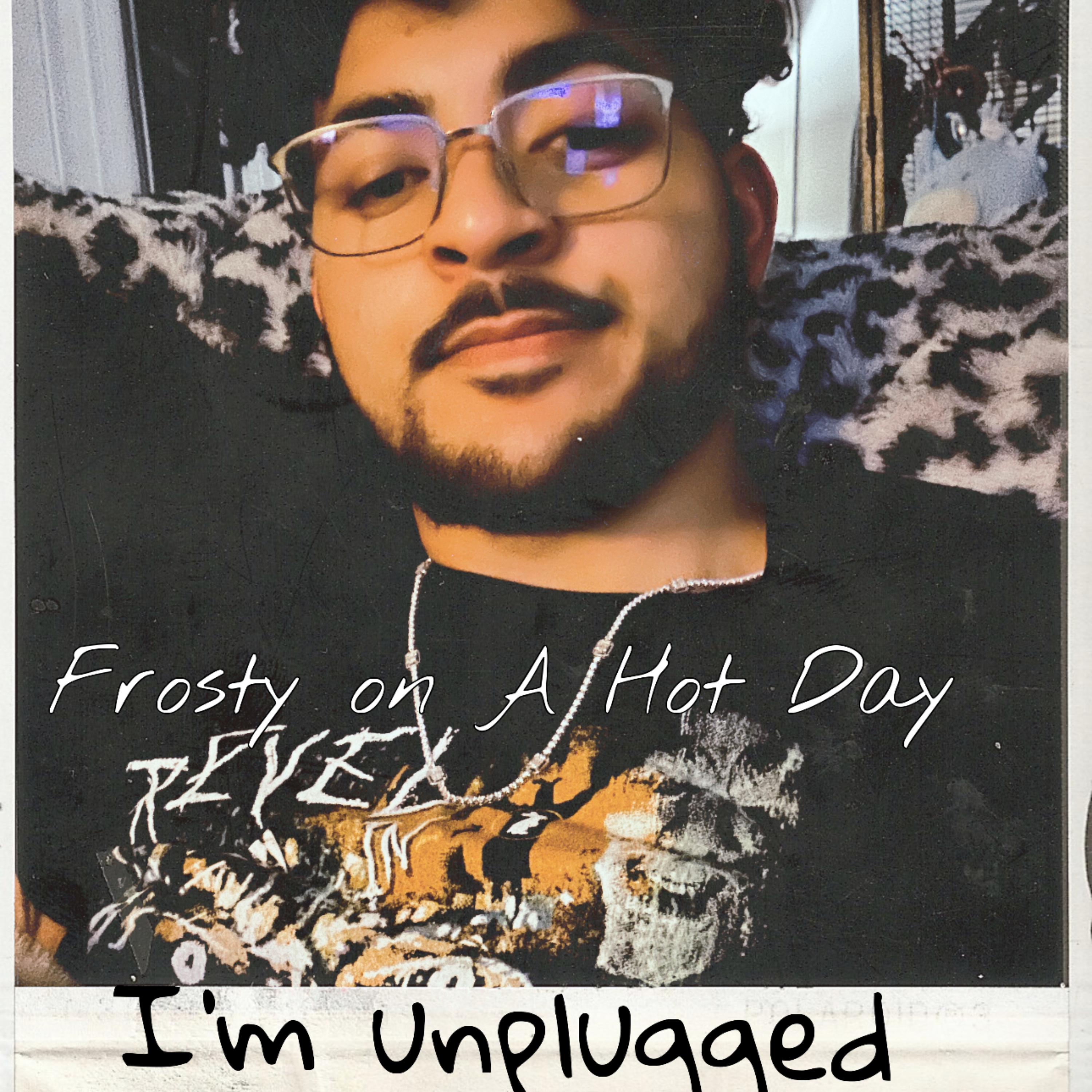 Im Unplugged by Frosty On A Hot Day cover art