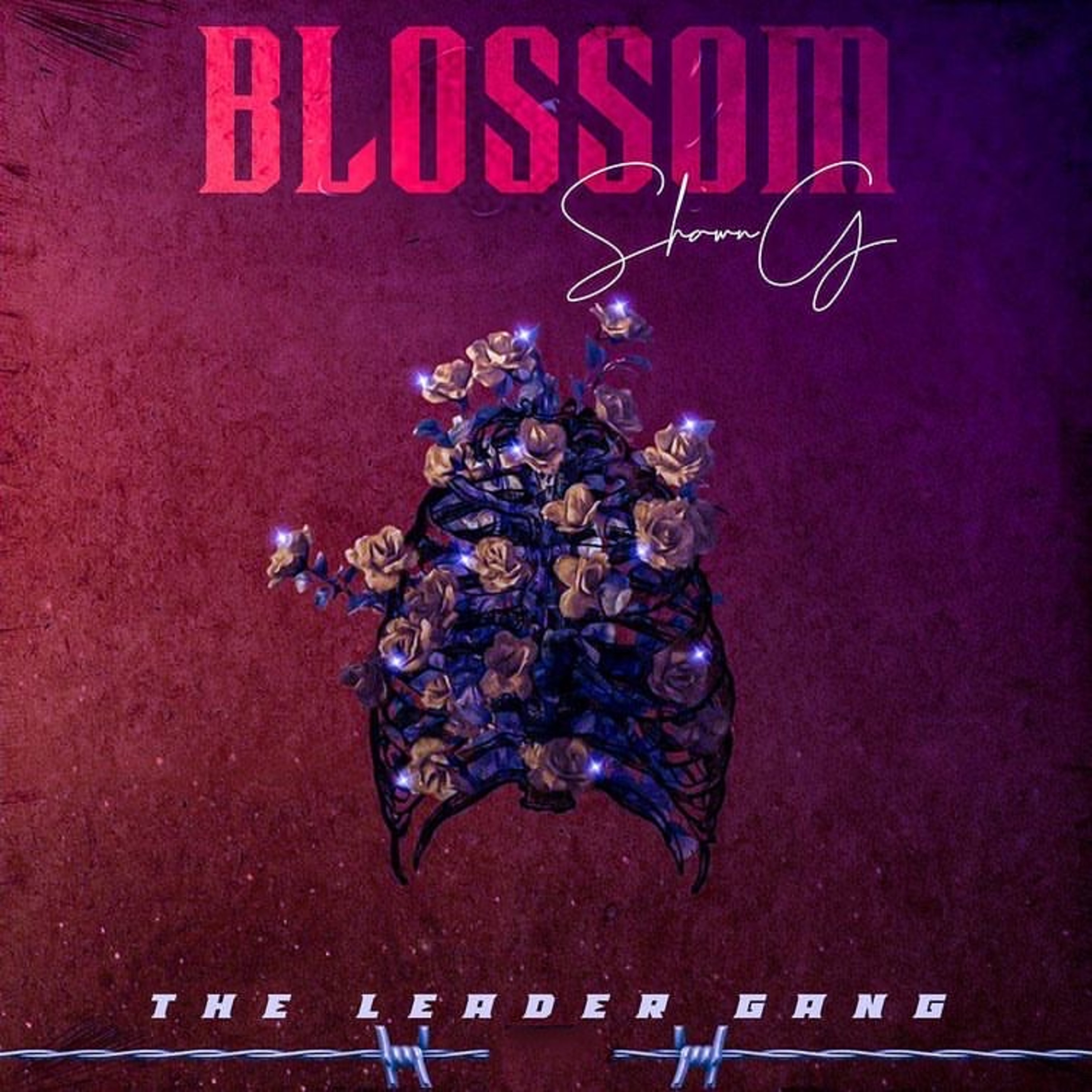 Blossom artwork