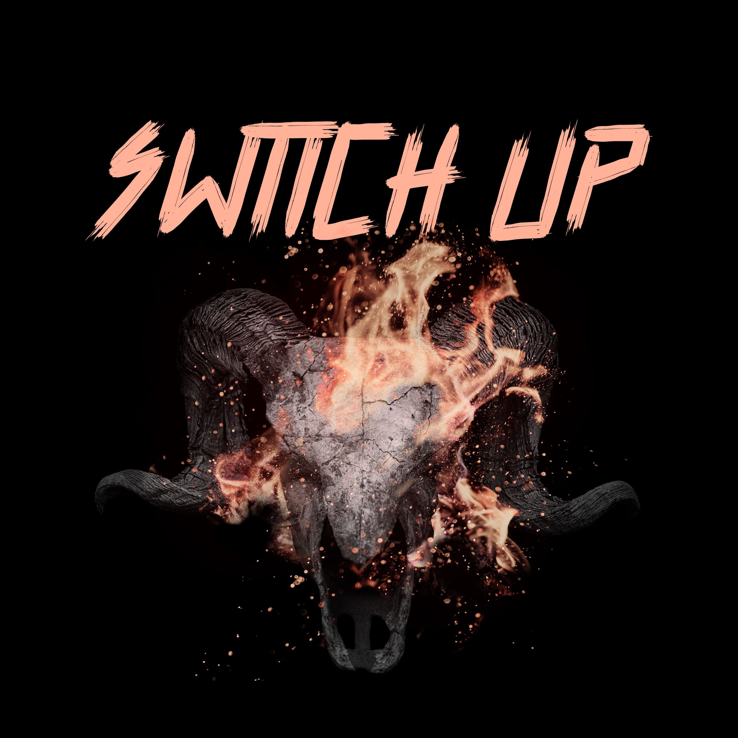 Switch Up artwork