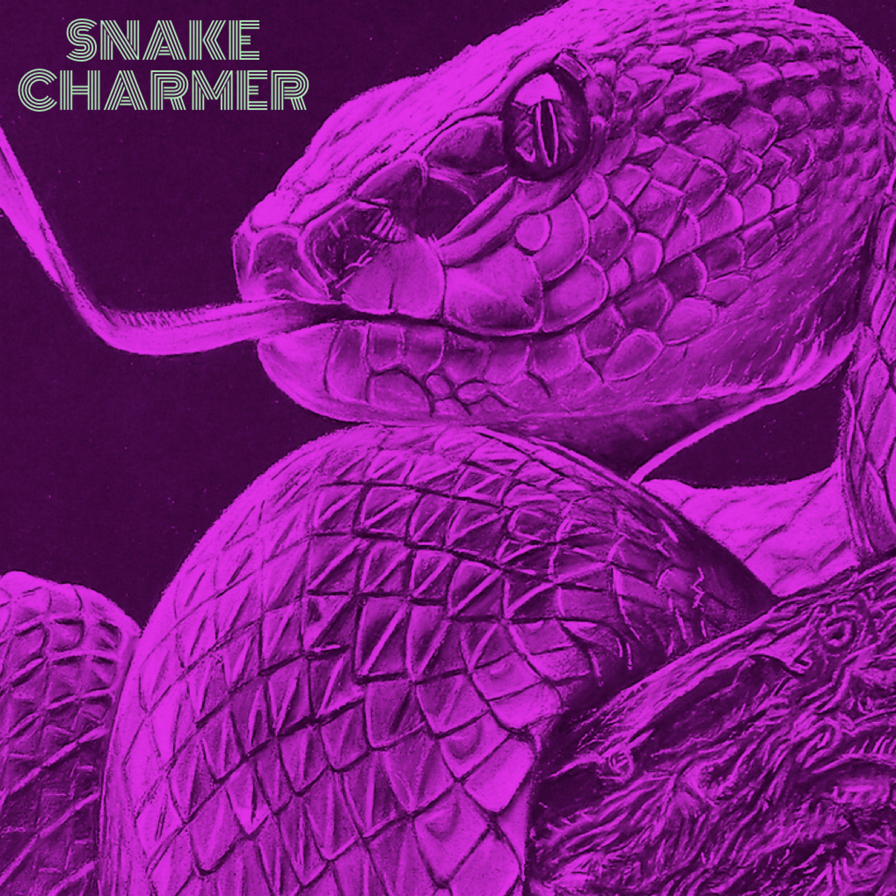 Snake Charmer artwork
