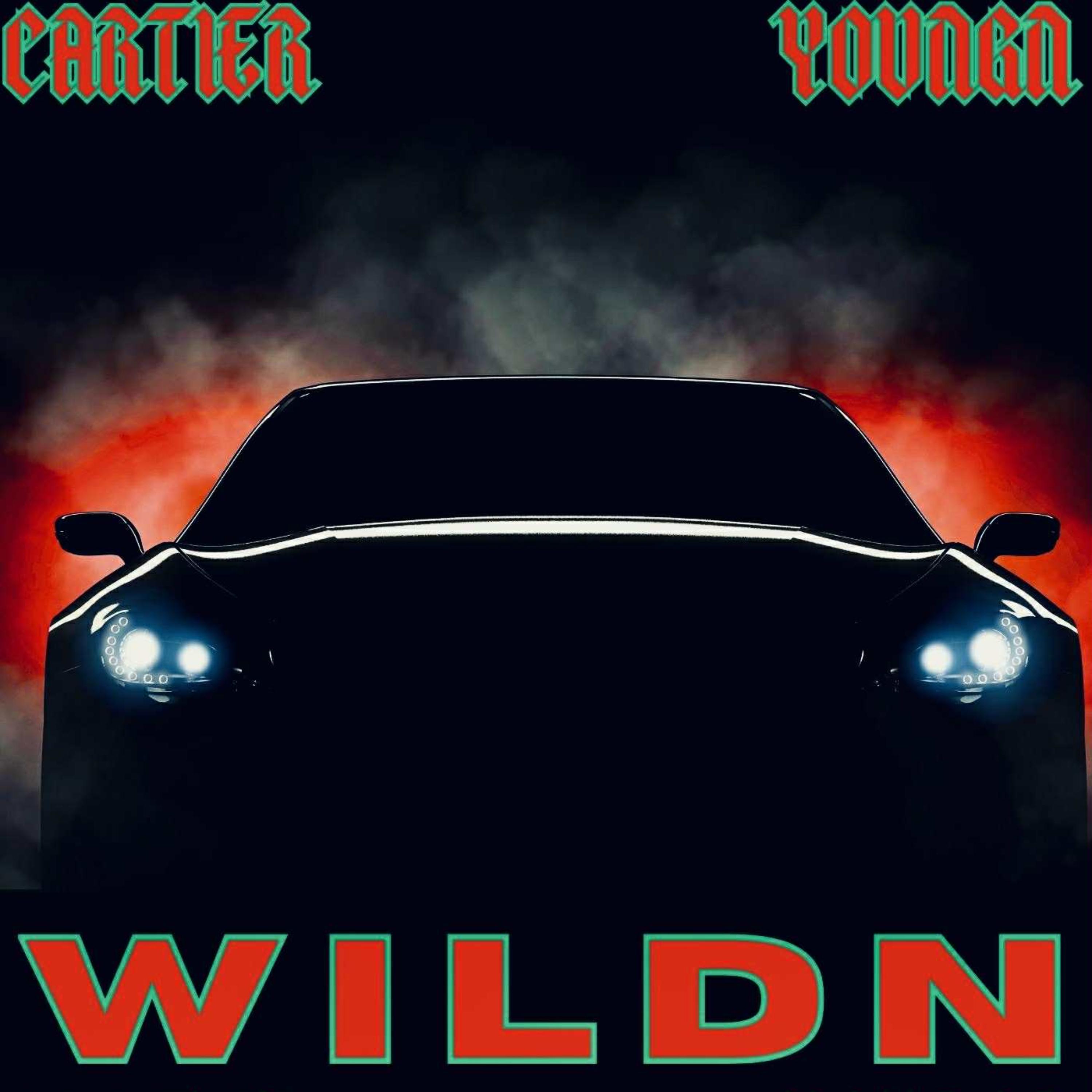Wildn artwork