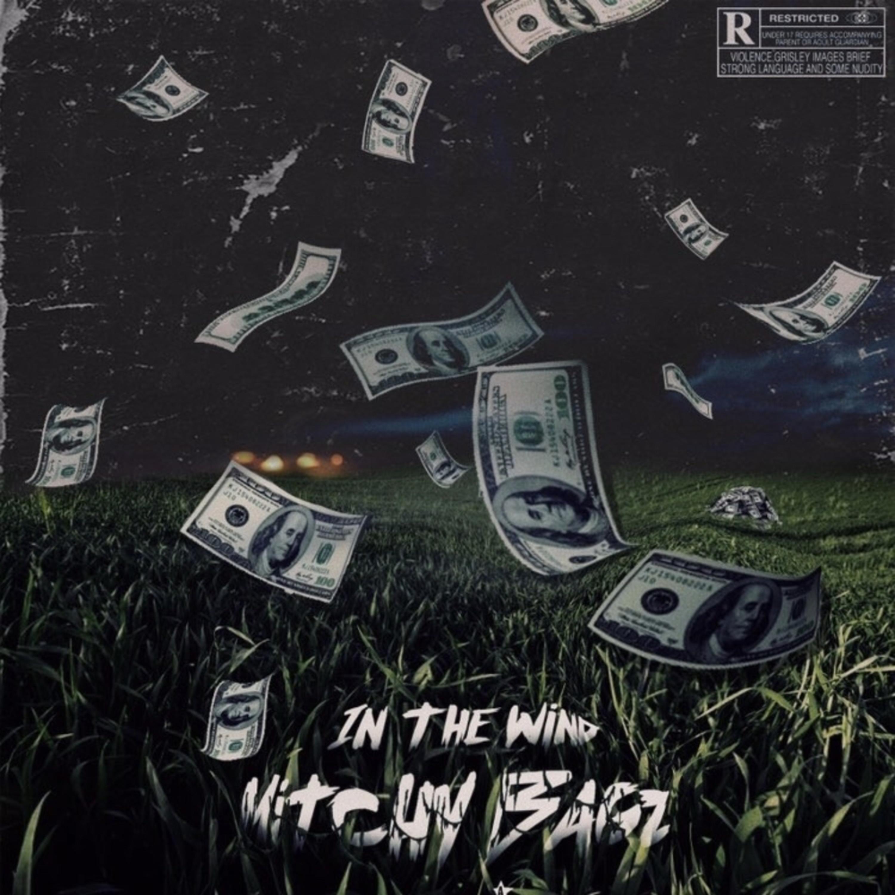 In The Wind artwork