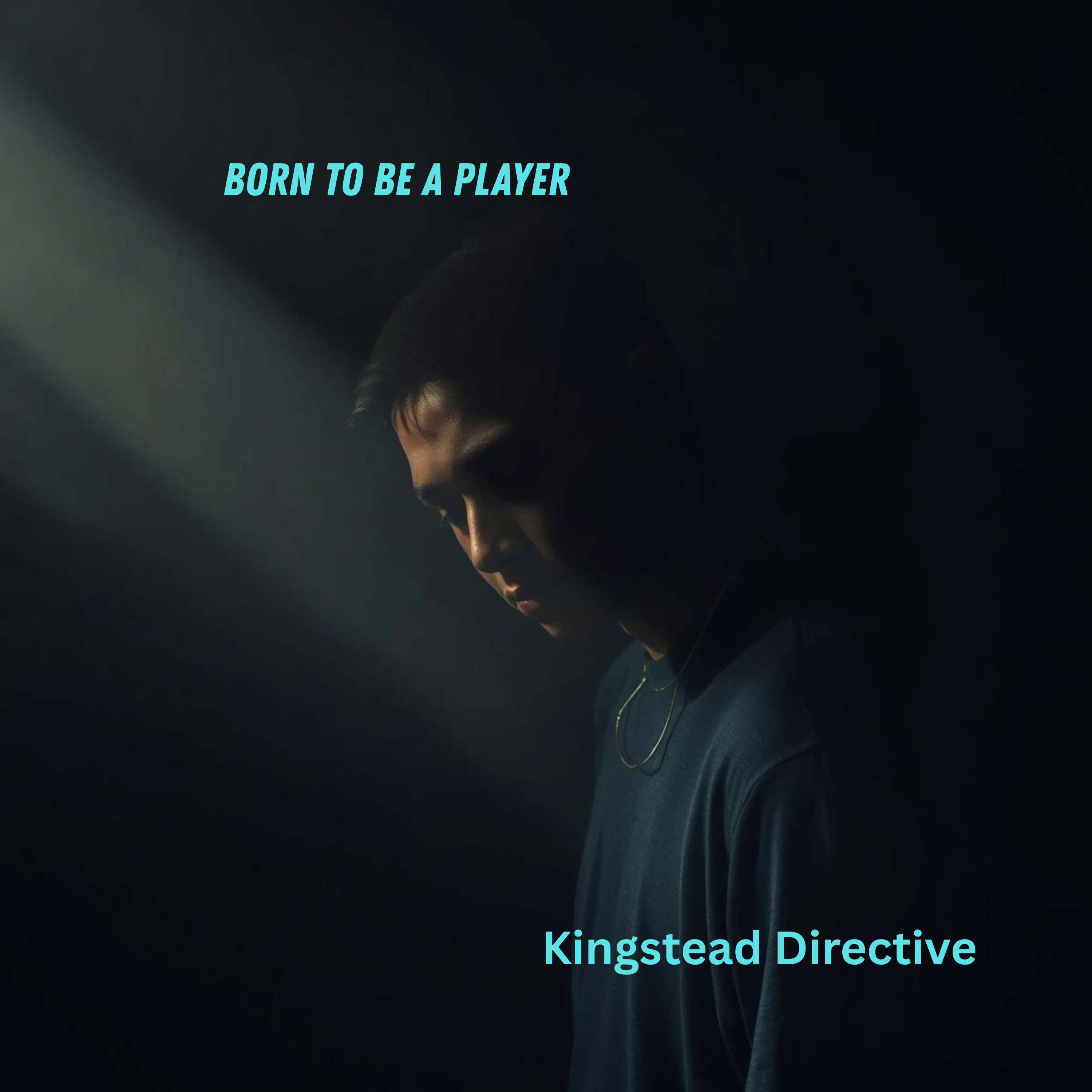 Born to be a Player artwork