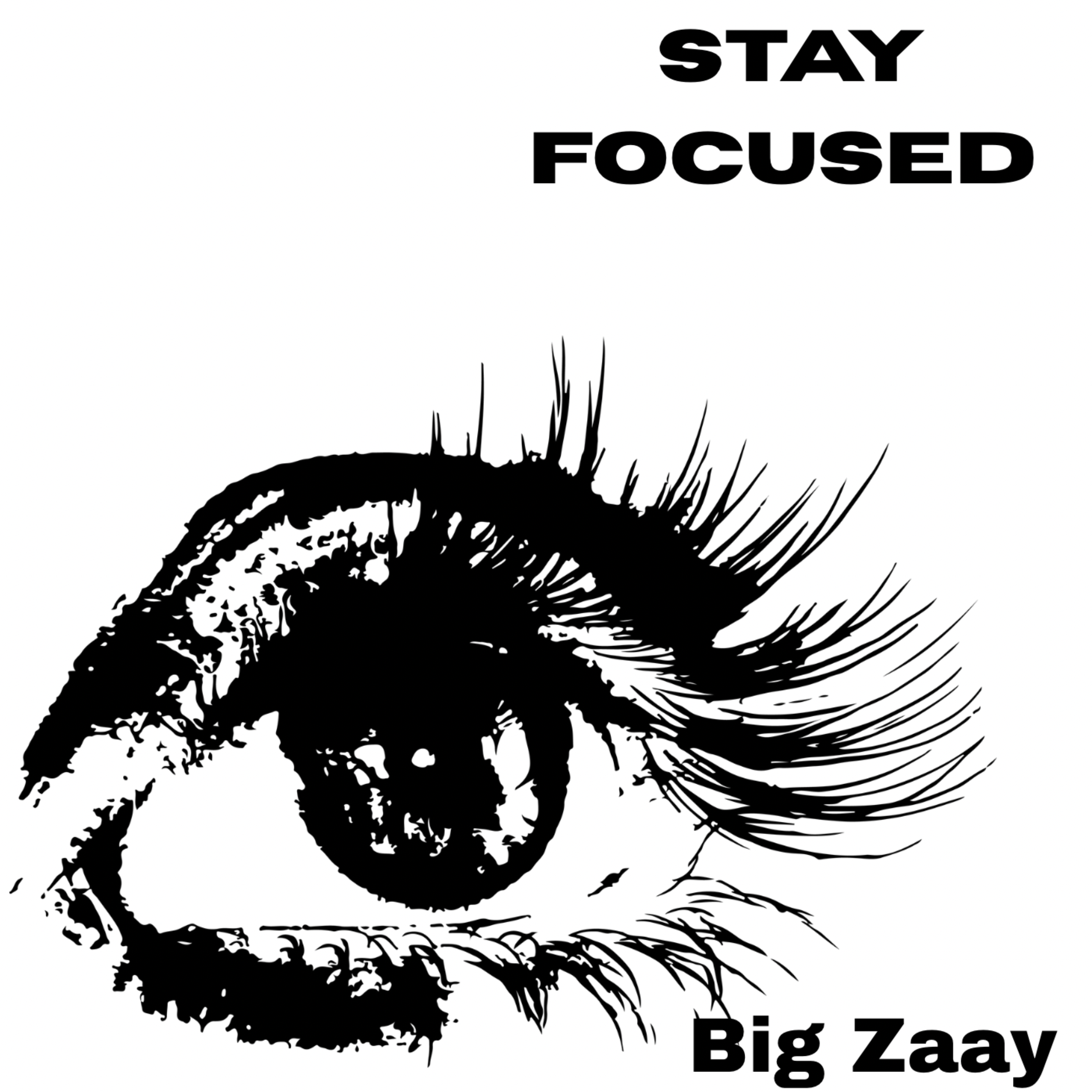 Stay Focused by Big Zaay  cover art