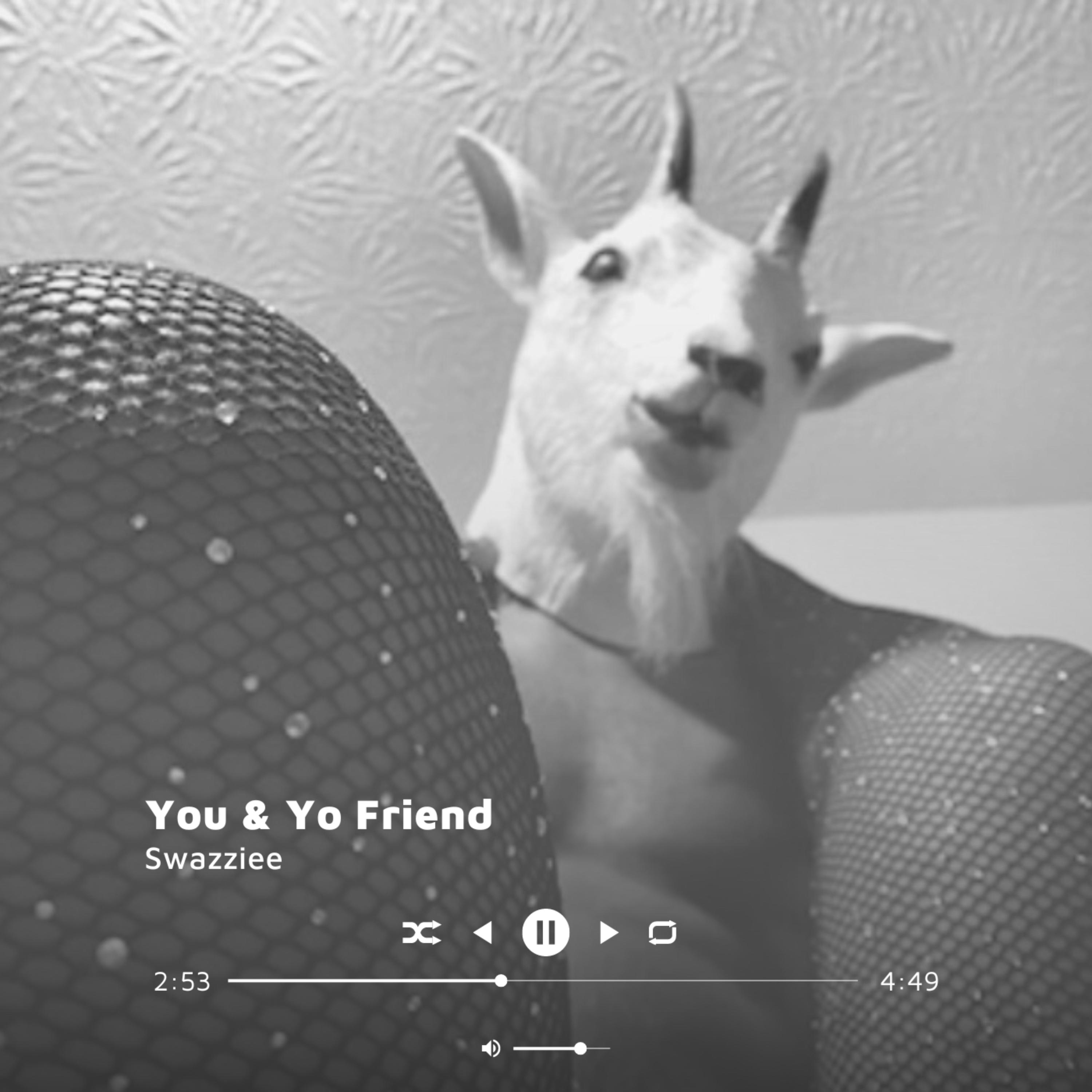 You & Yo Friend artwork
