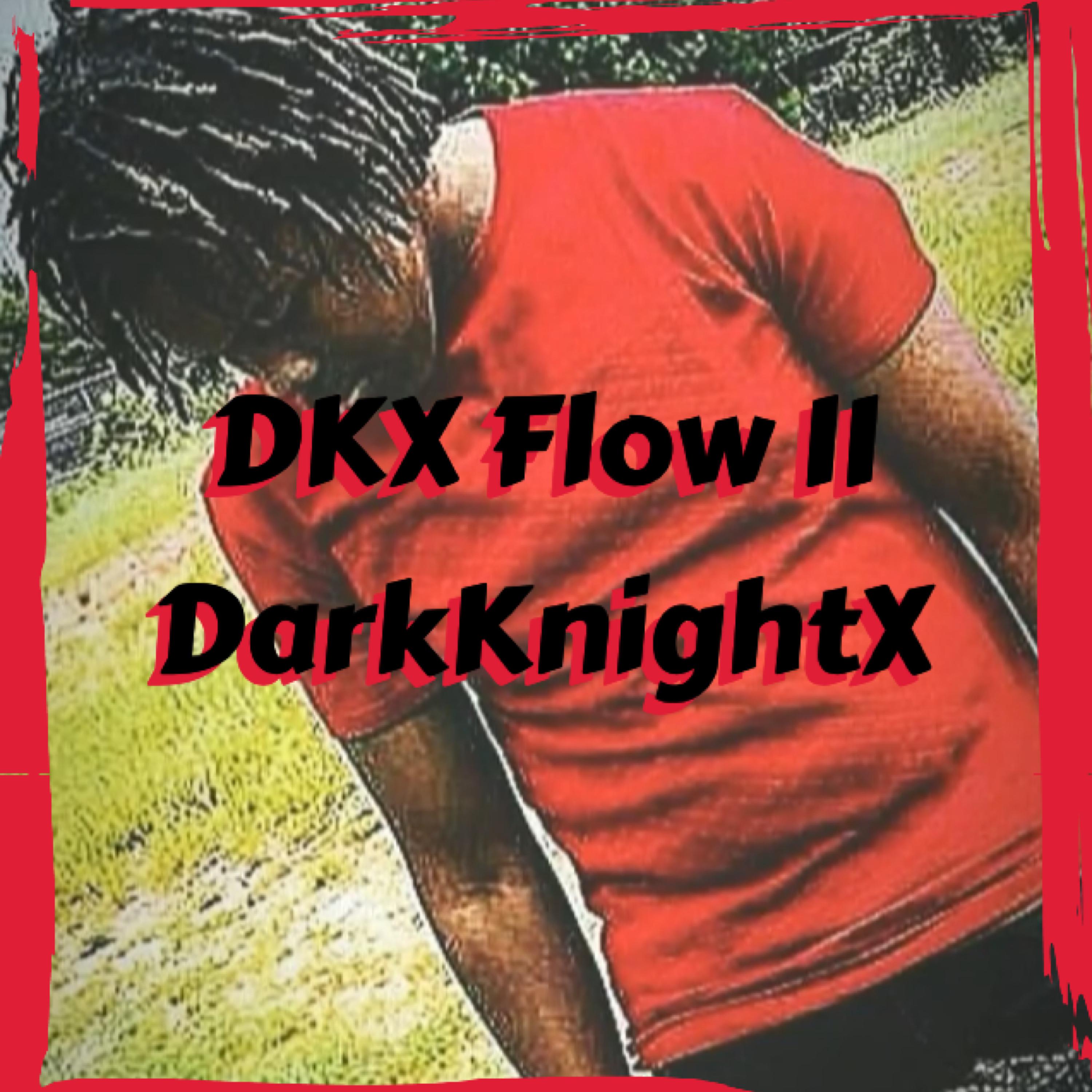 DKX Flow II artwork