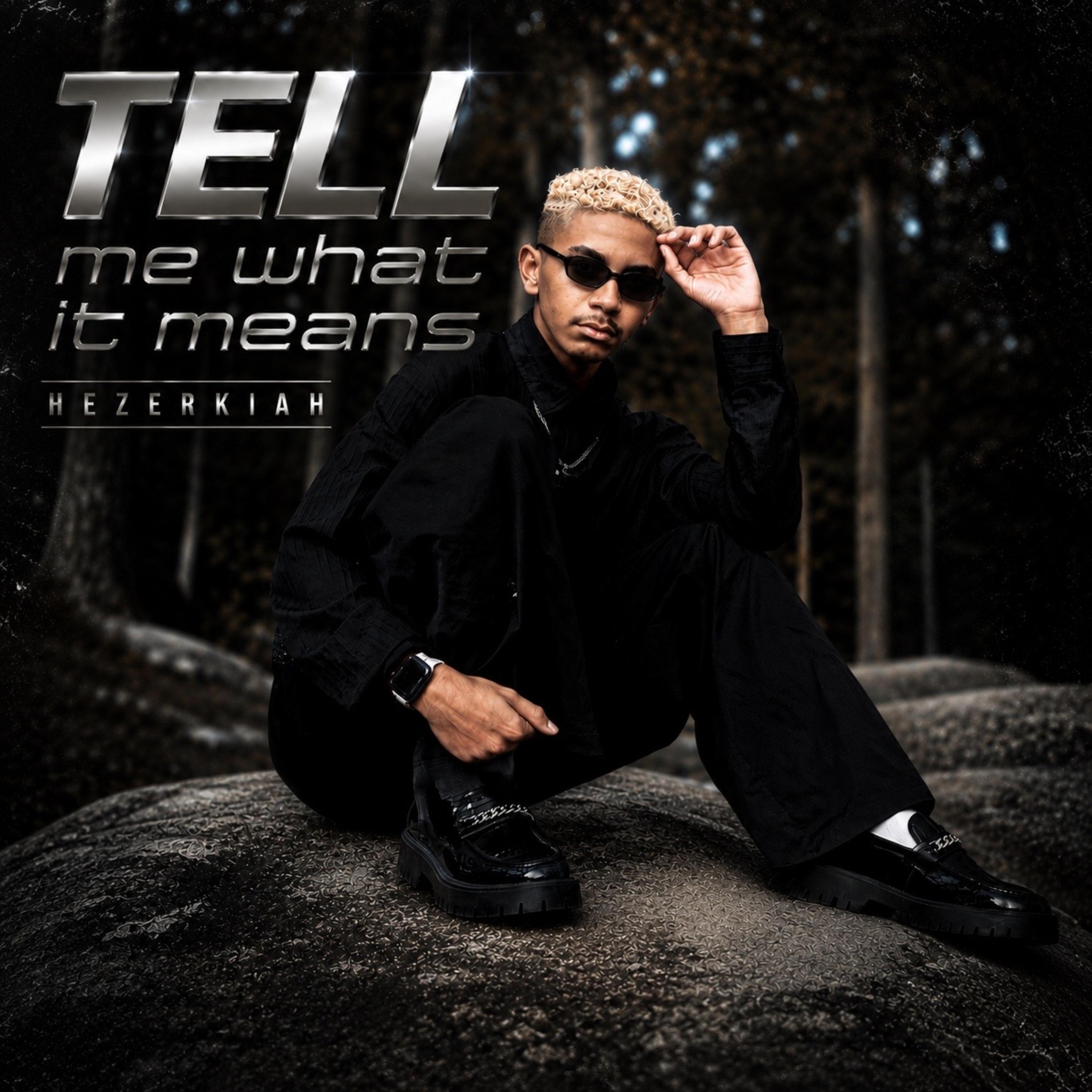 Tell me What it Means? by Hezerkiah cover art