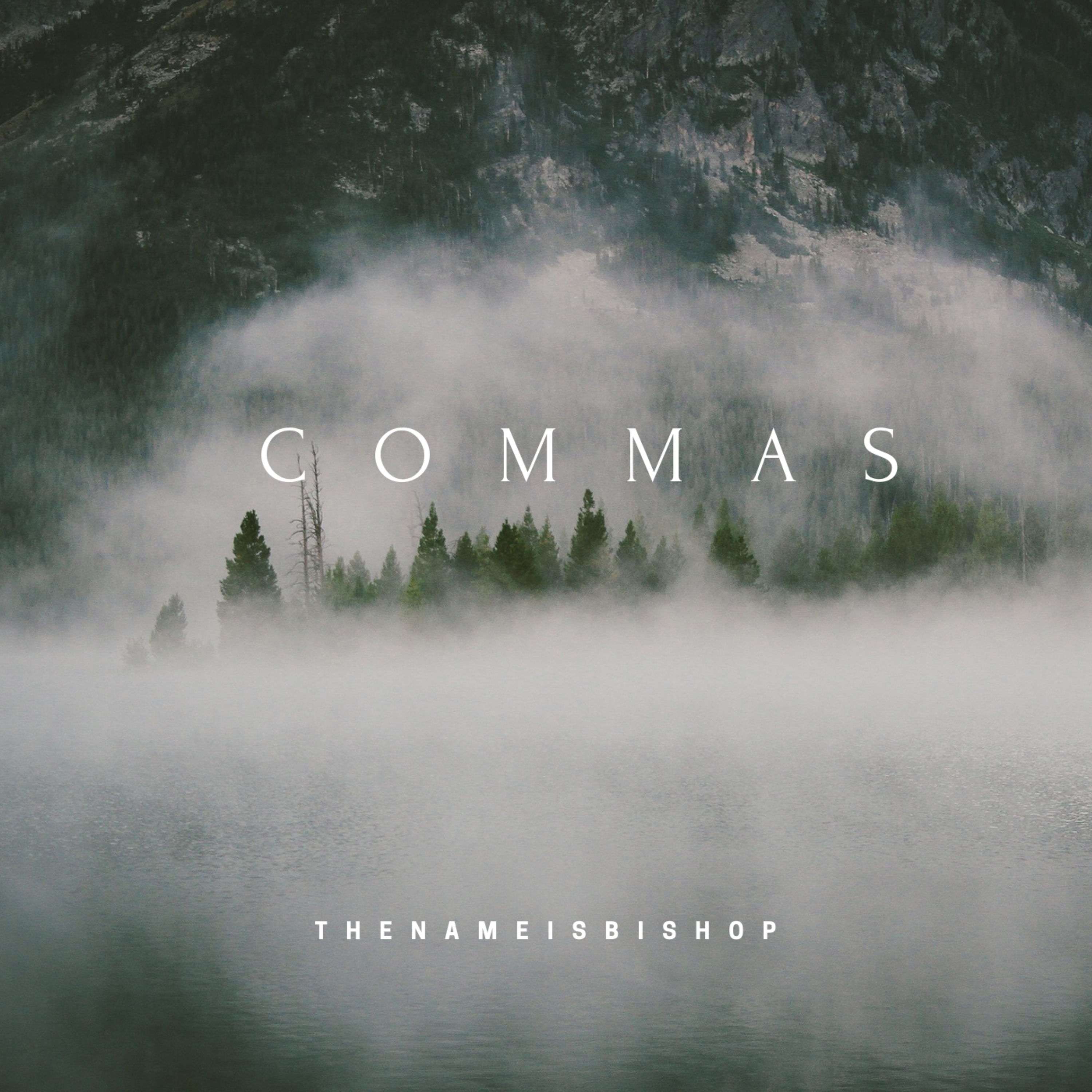 Commas artwork