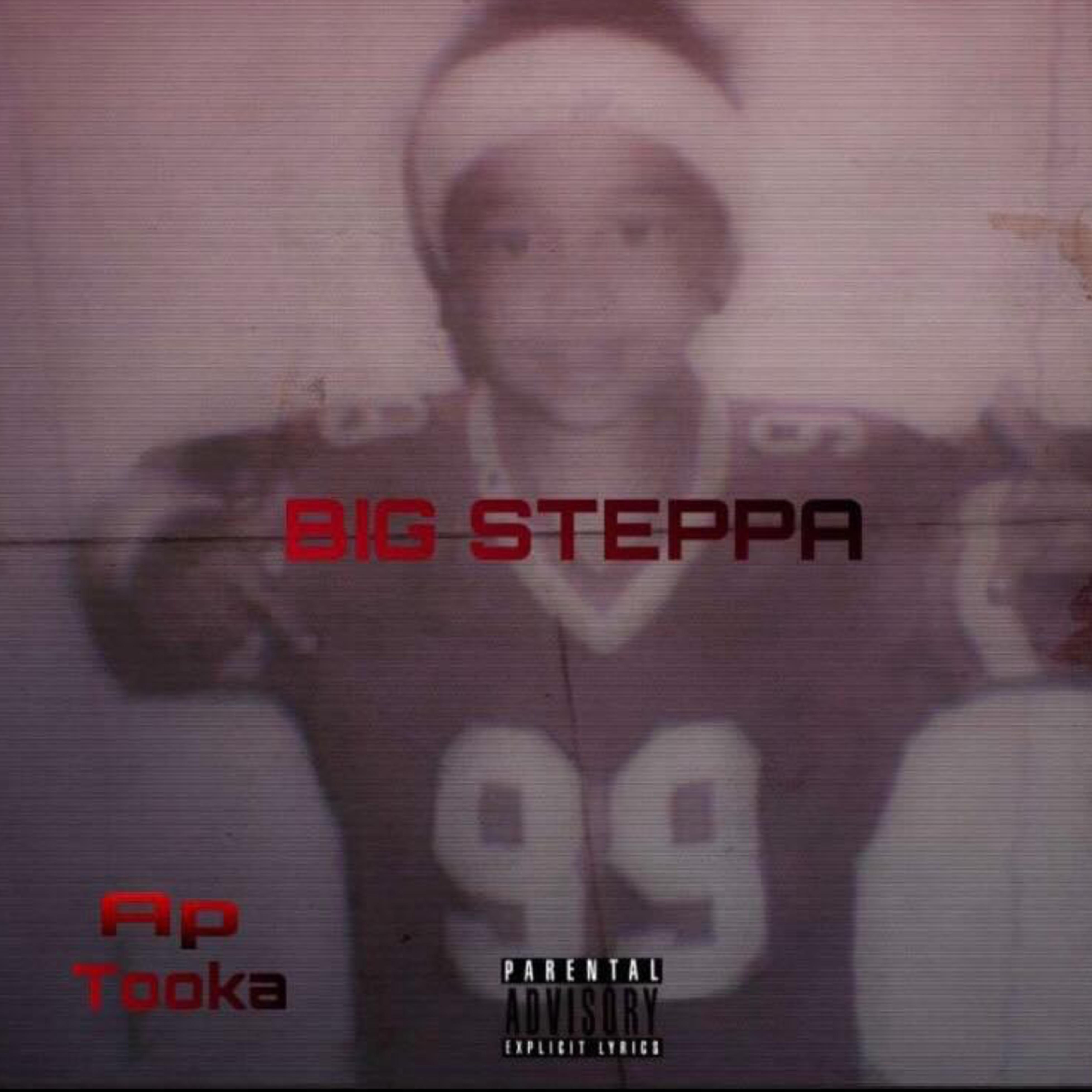 BIG STEPPA artwork
