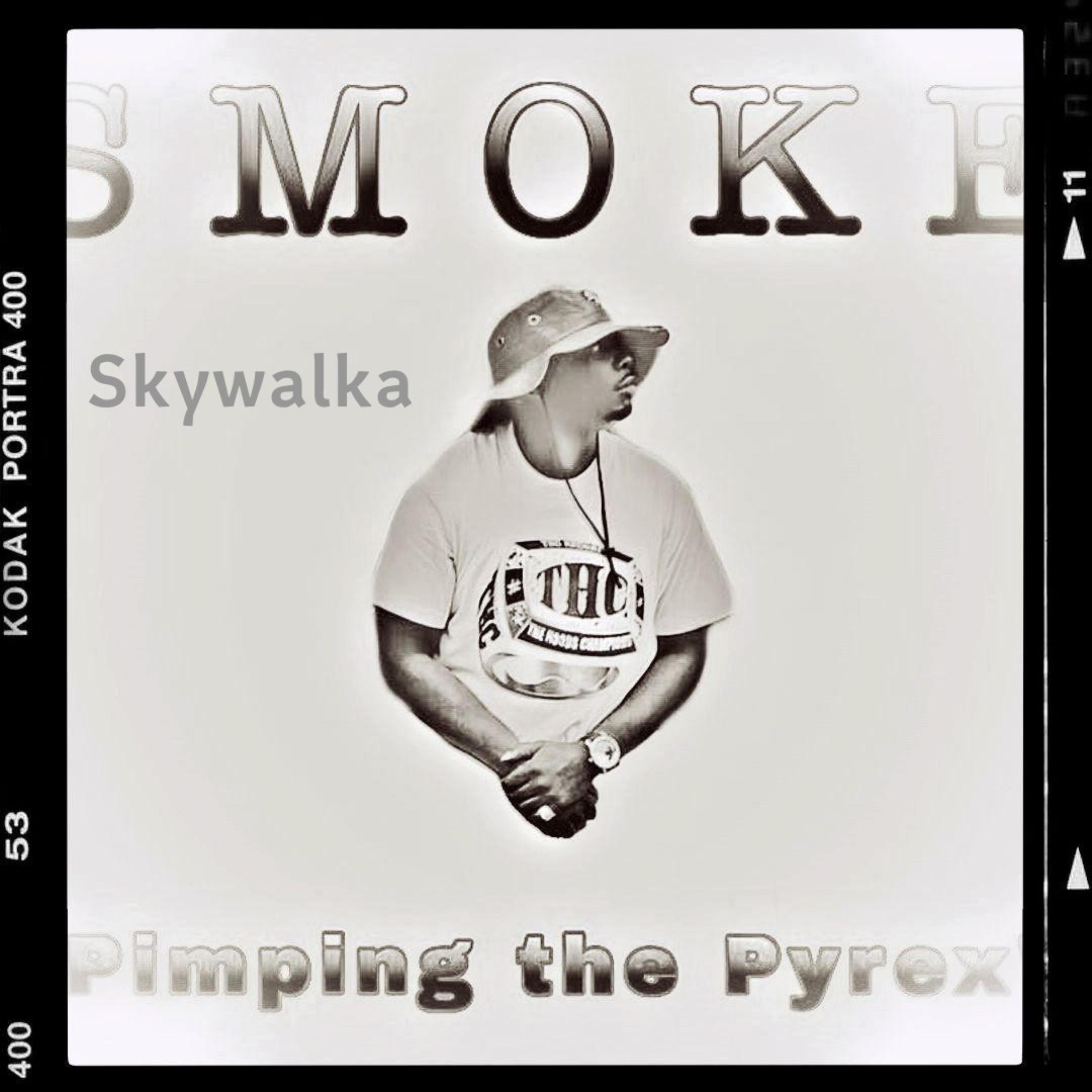 Pimpin The Pyrex artwork