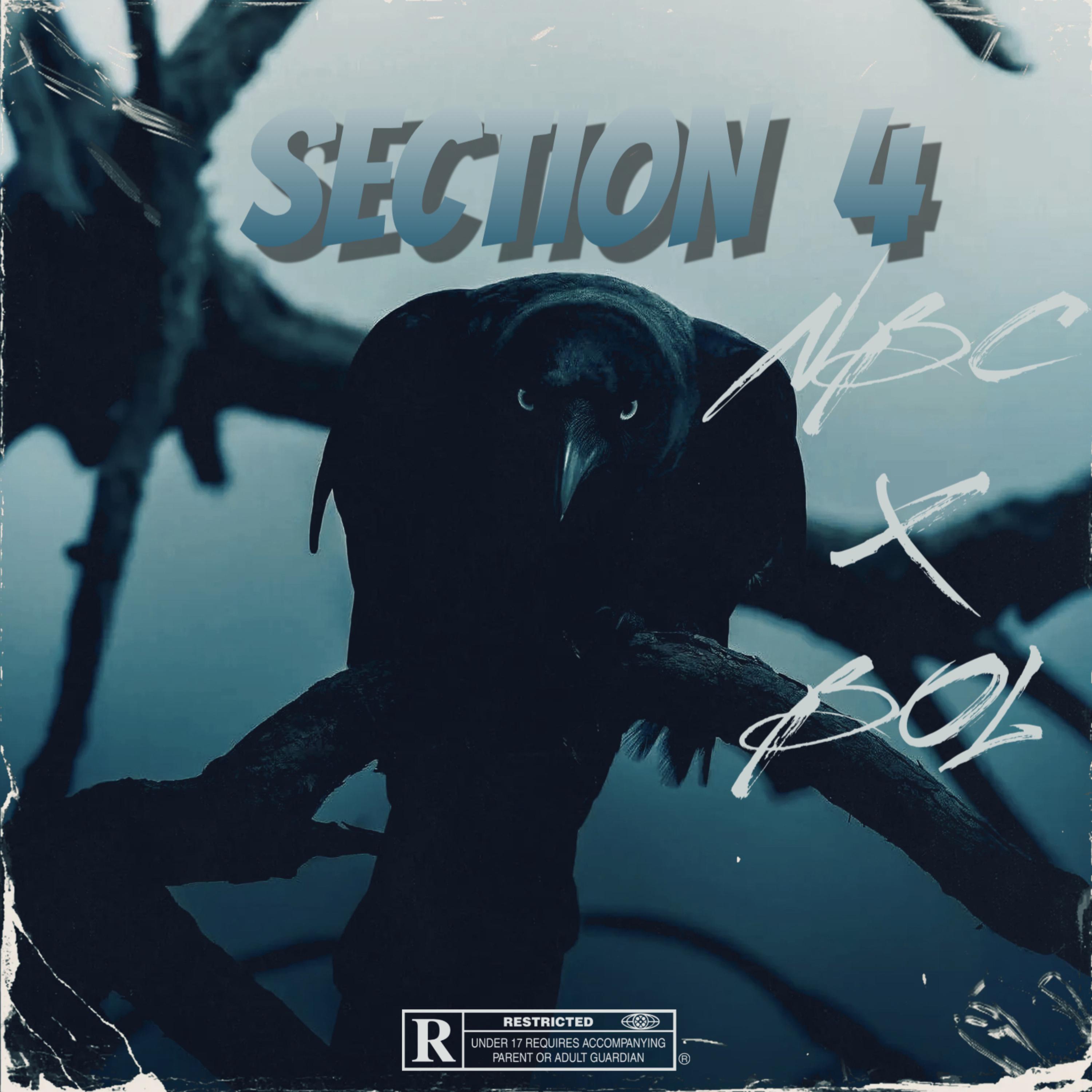 Section 4 artwork
