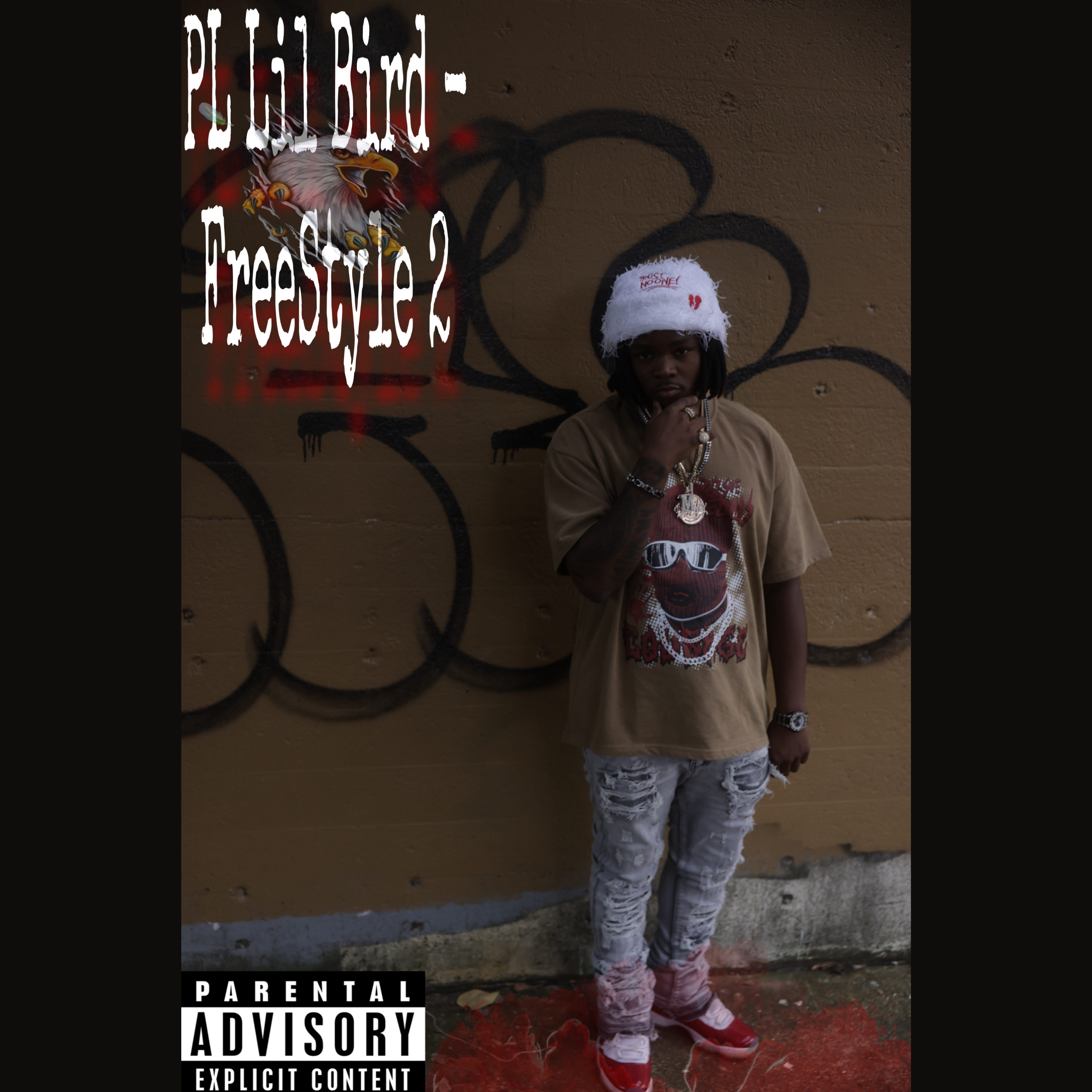 Free Style artwork