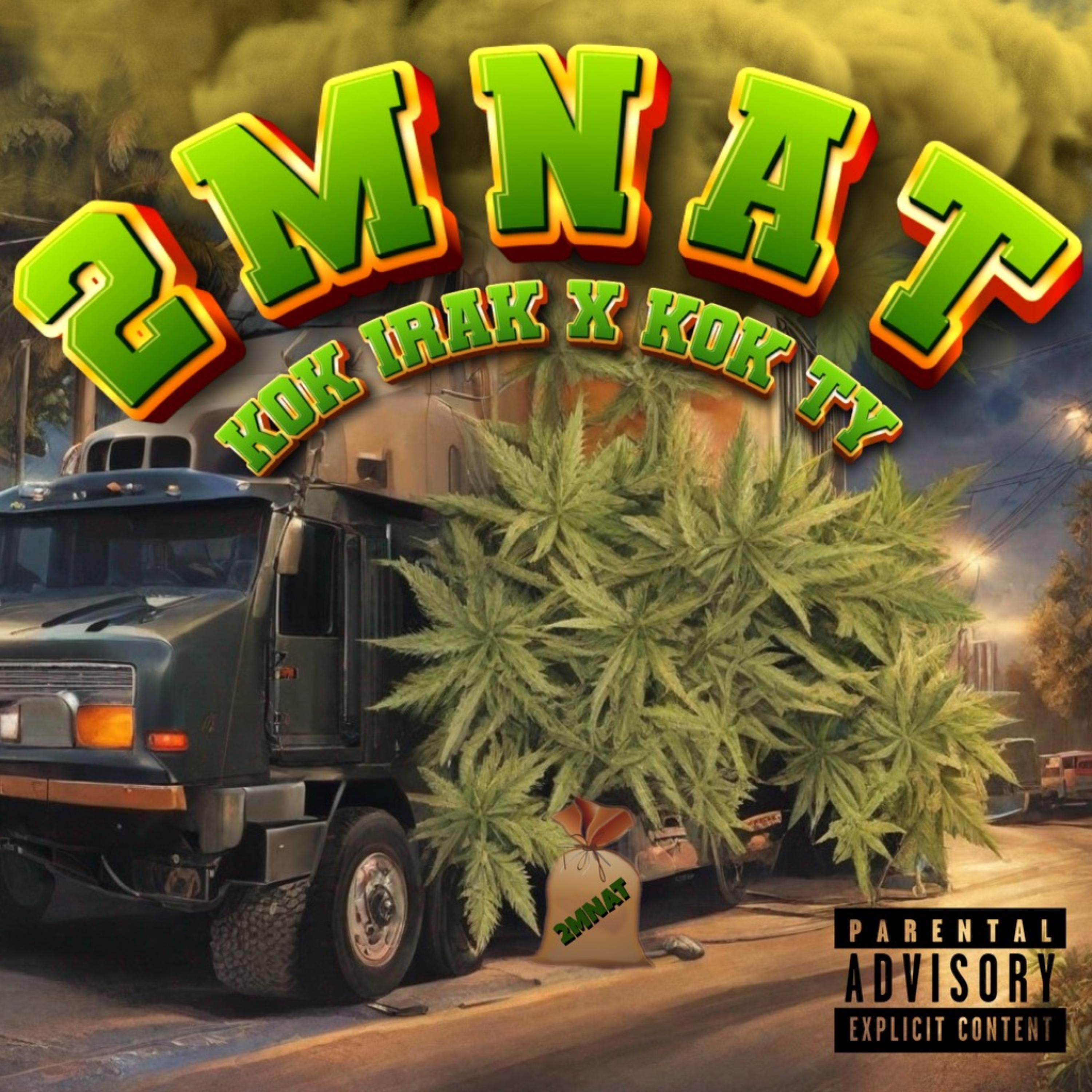 2MNAT artwork