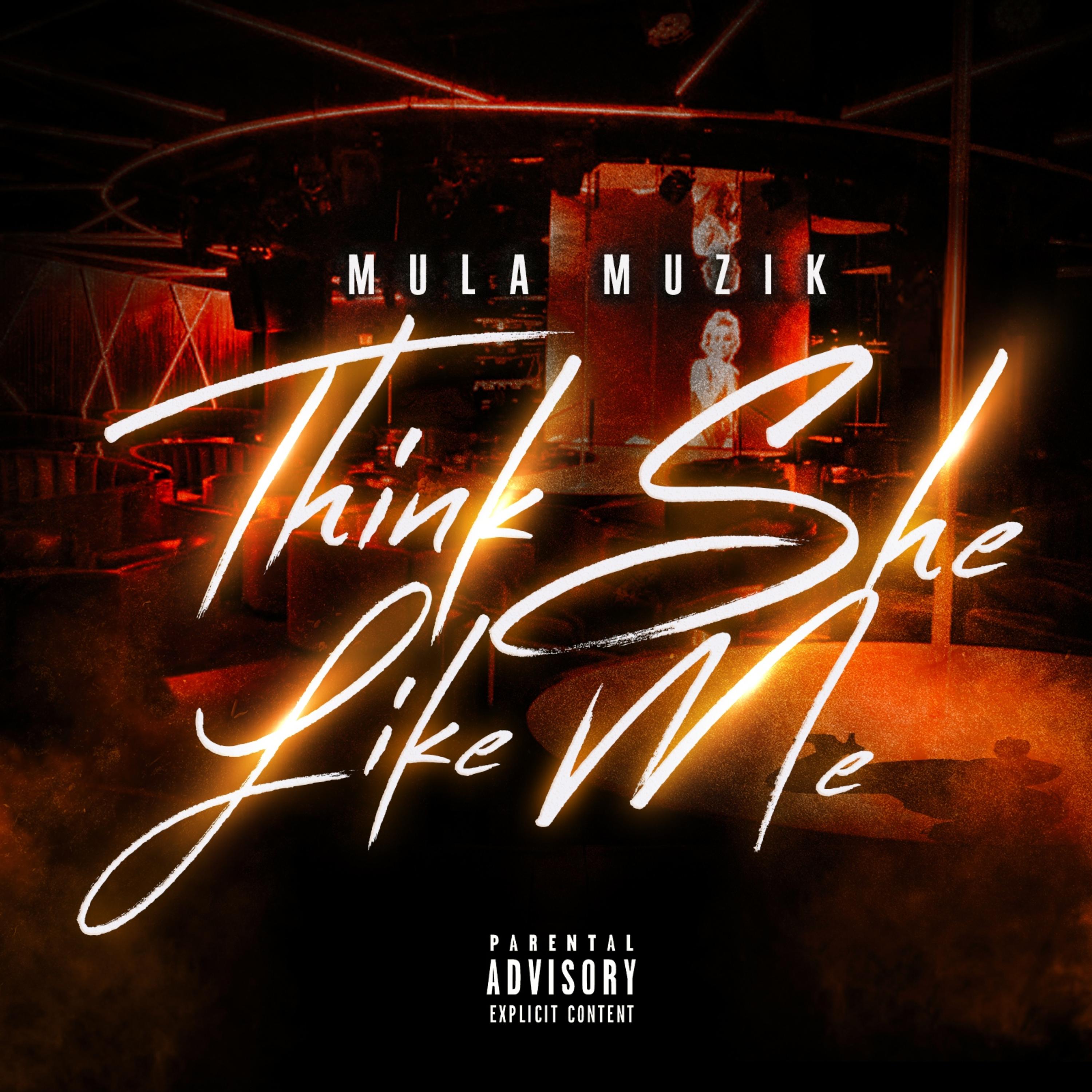 THINK SHE LIKE ME artwork