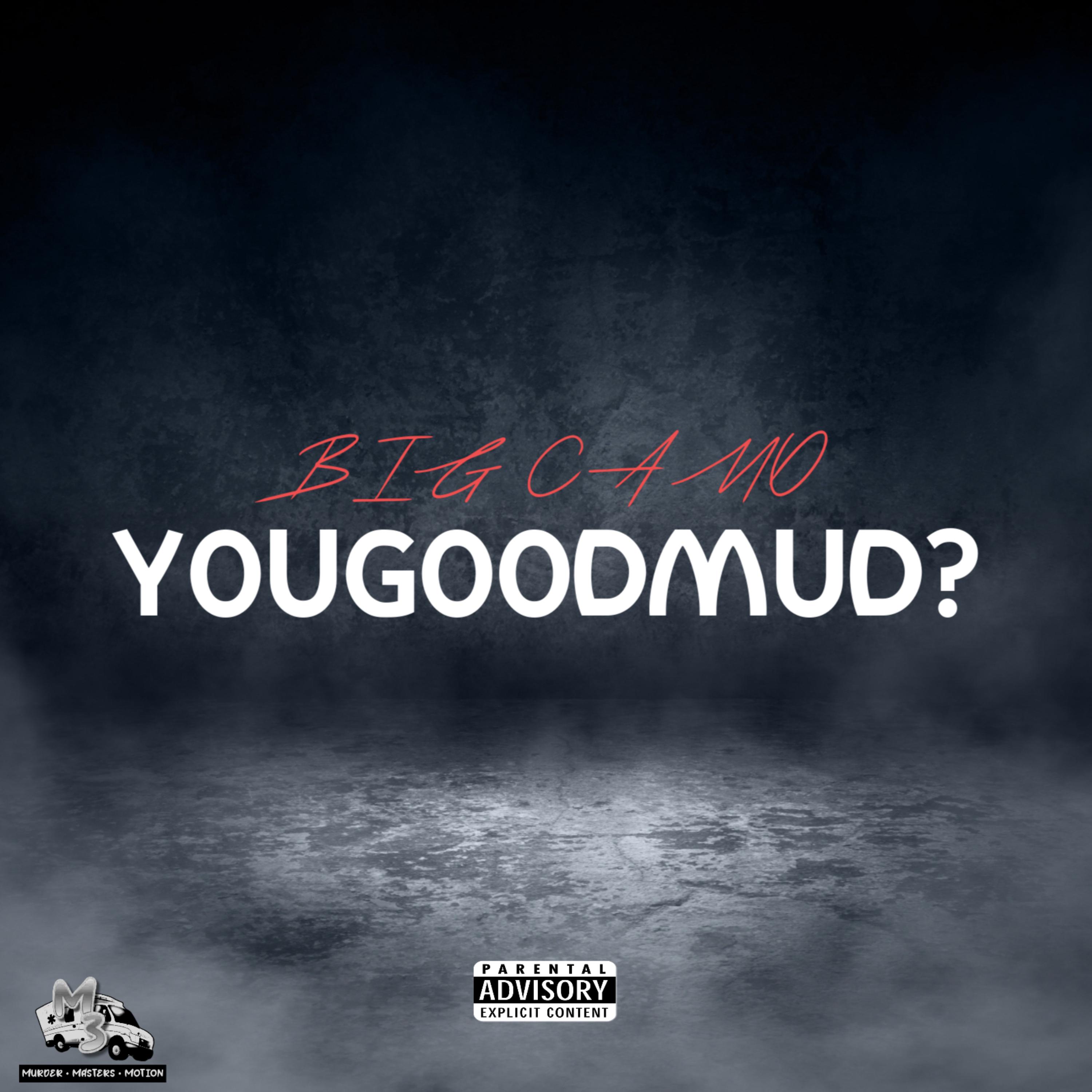 YOUGOODMUD? artwork