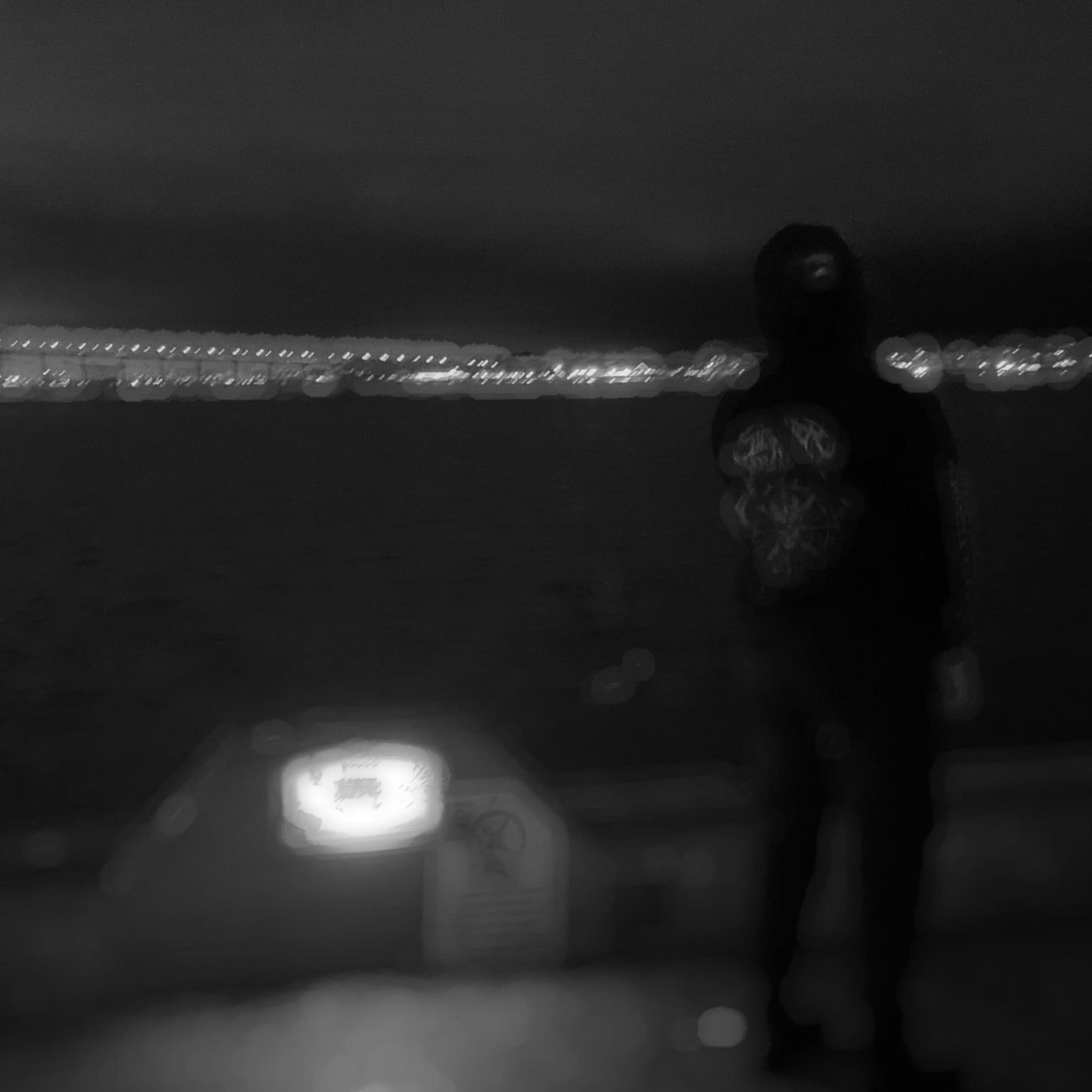 THE SYNTH-WAVES OF DELUSION artwork
