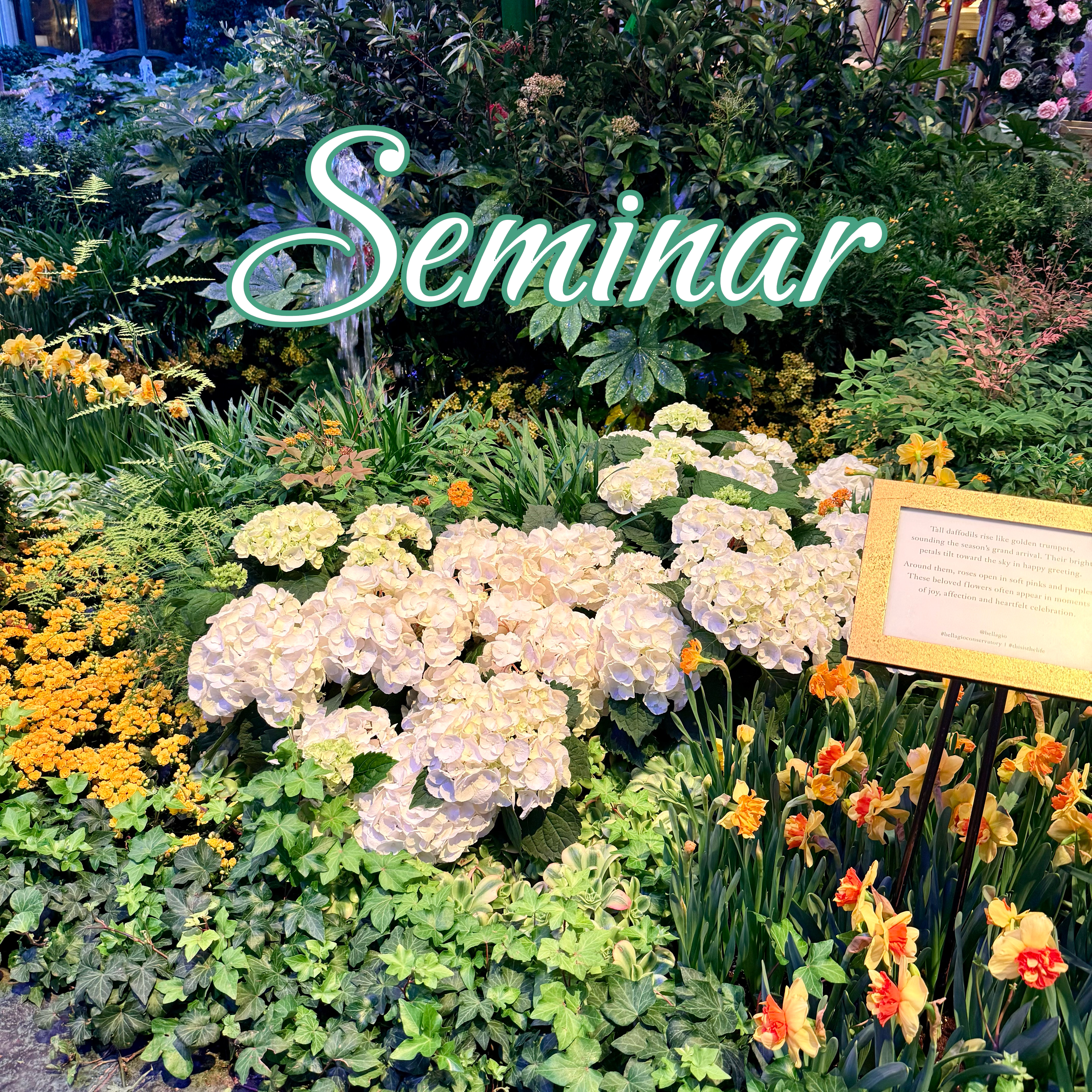 Seminar by Acti4ist cover art