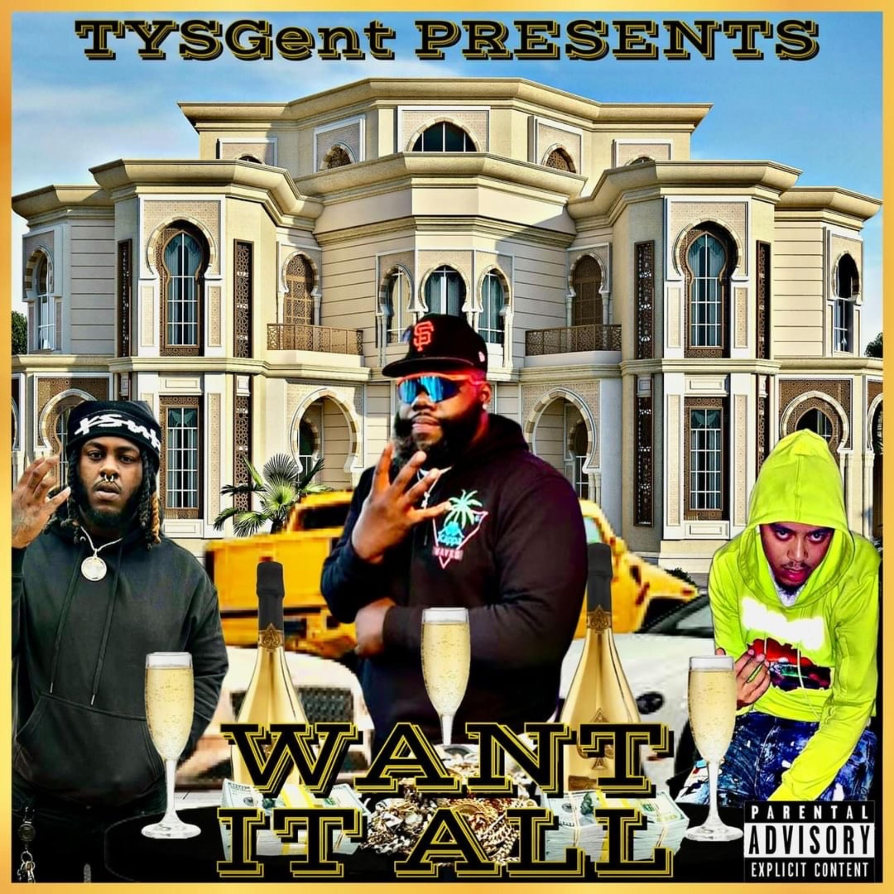 WANT IT ALL artwork