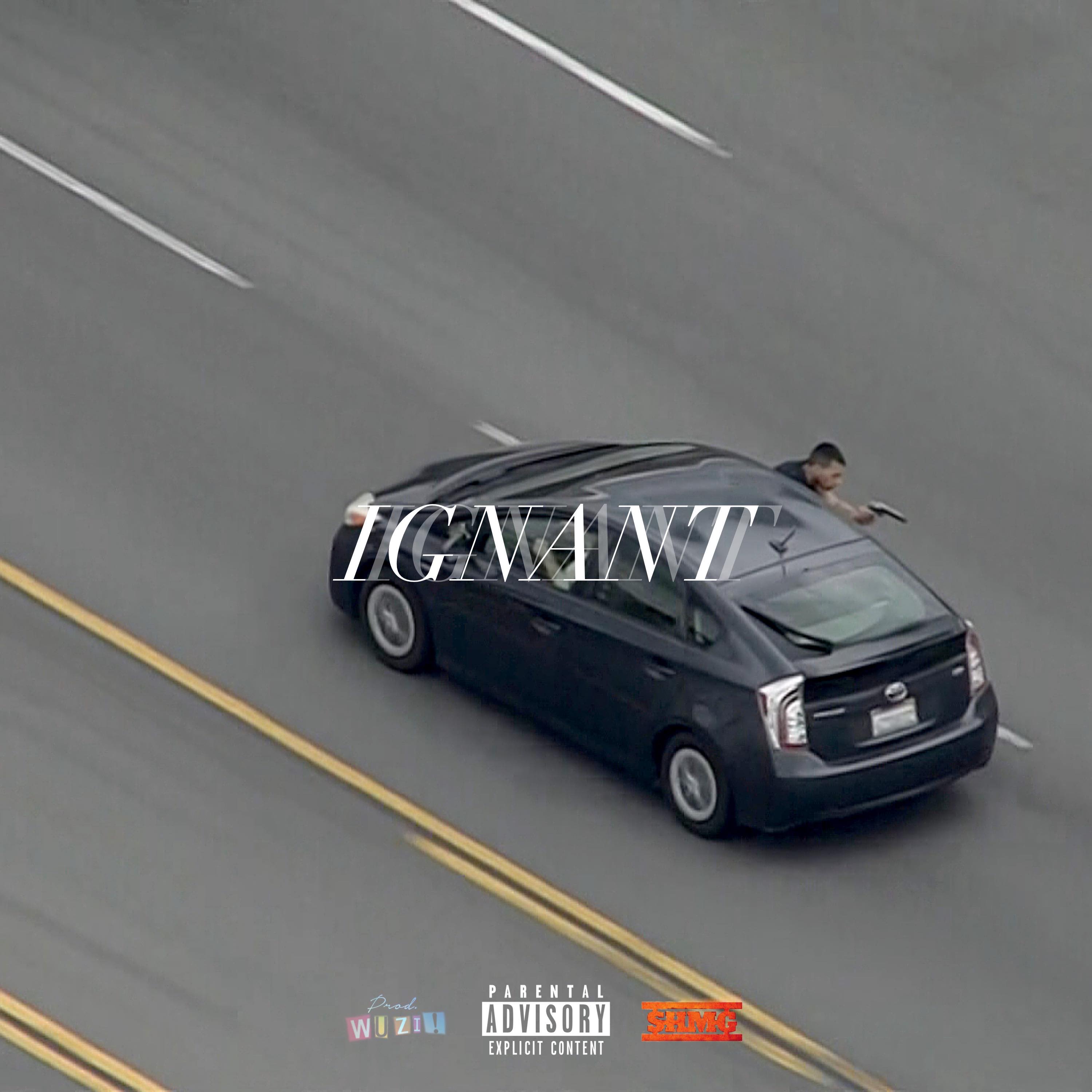 IGNANT by Delirious cover art