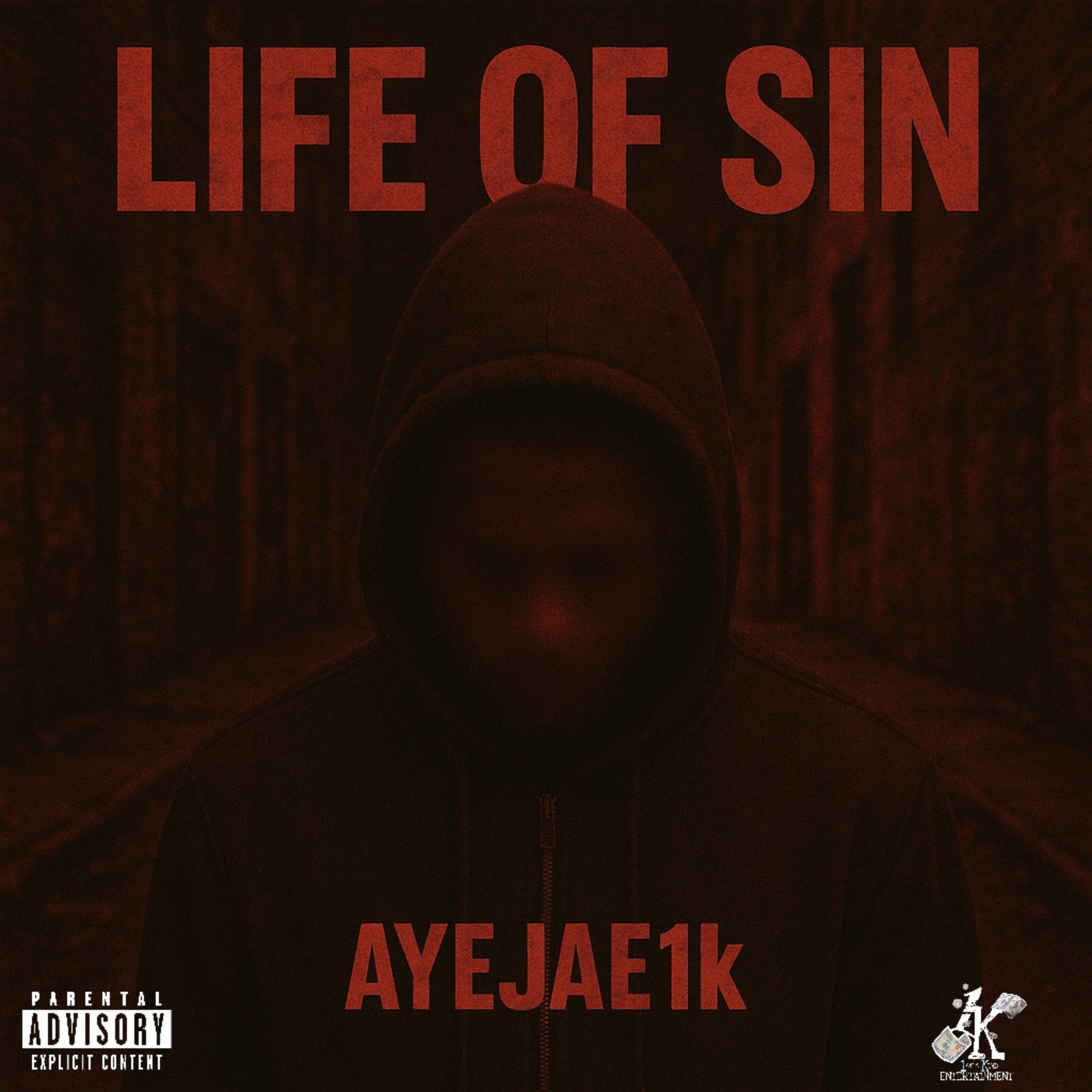 Life Of Sin artwork