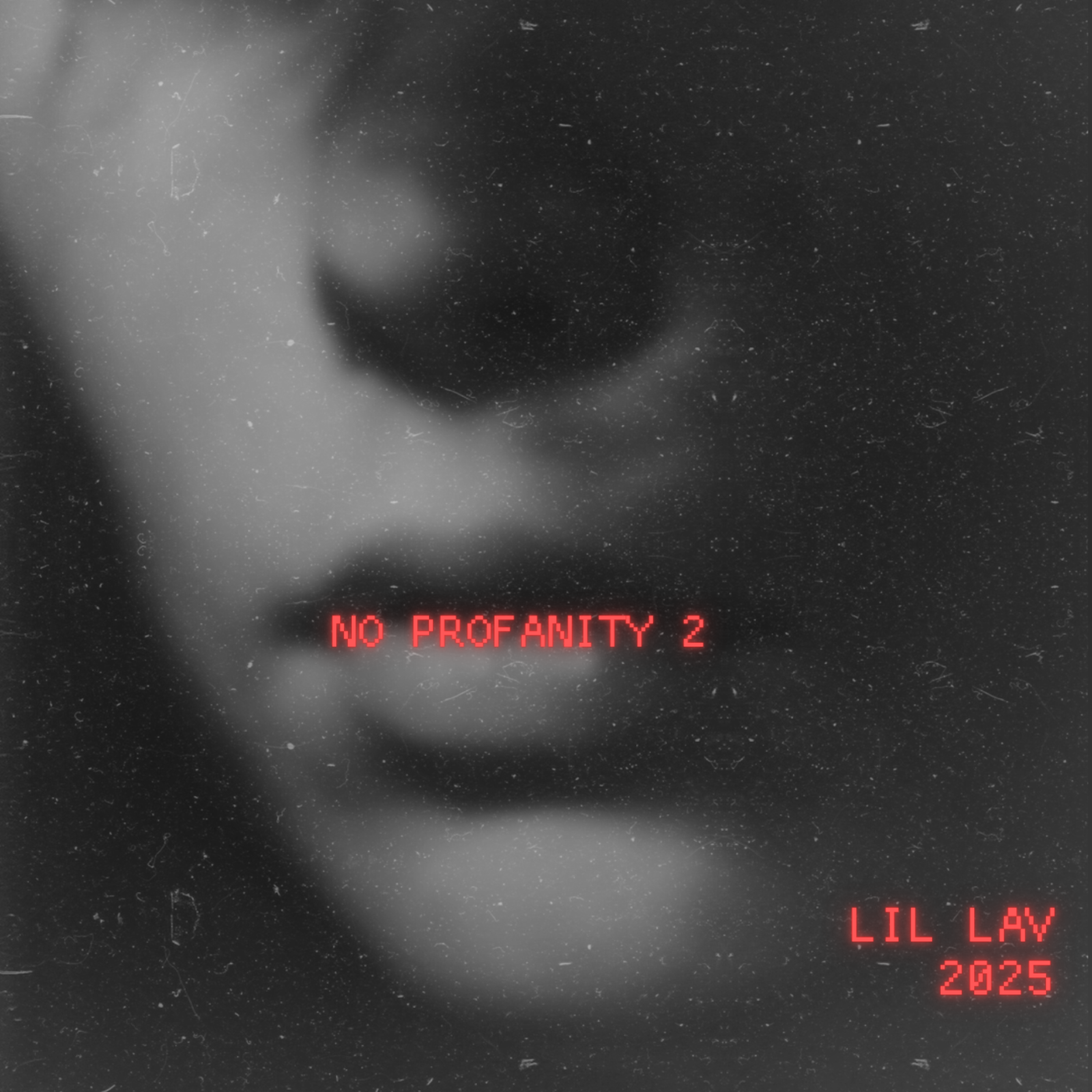 No Profanity 2 artwork
