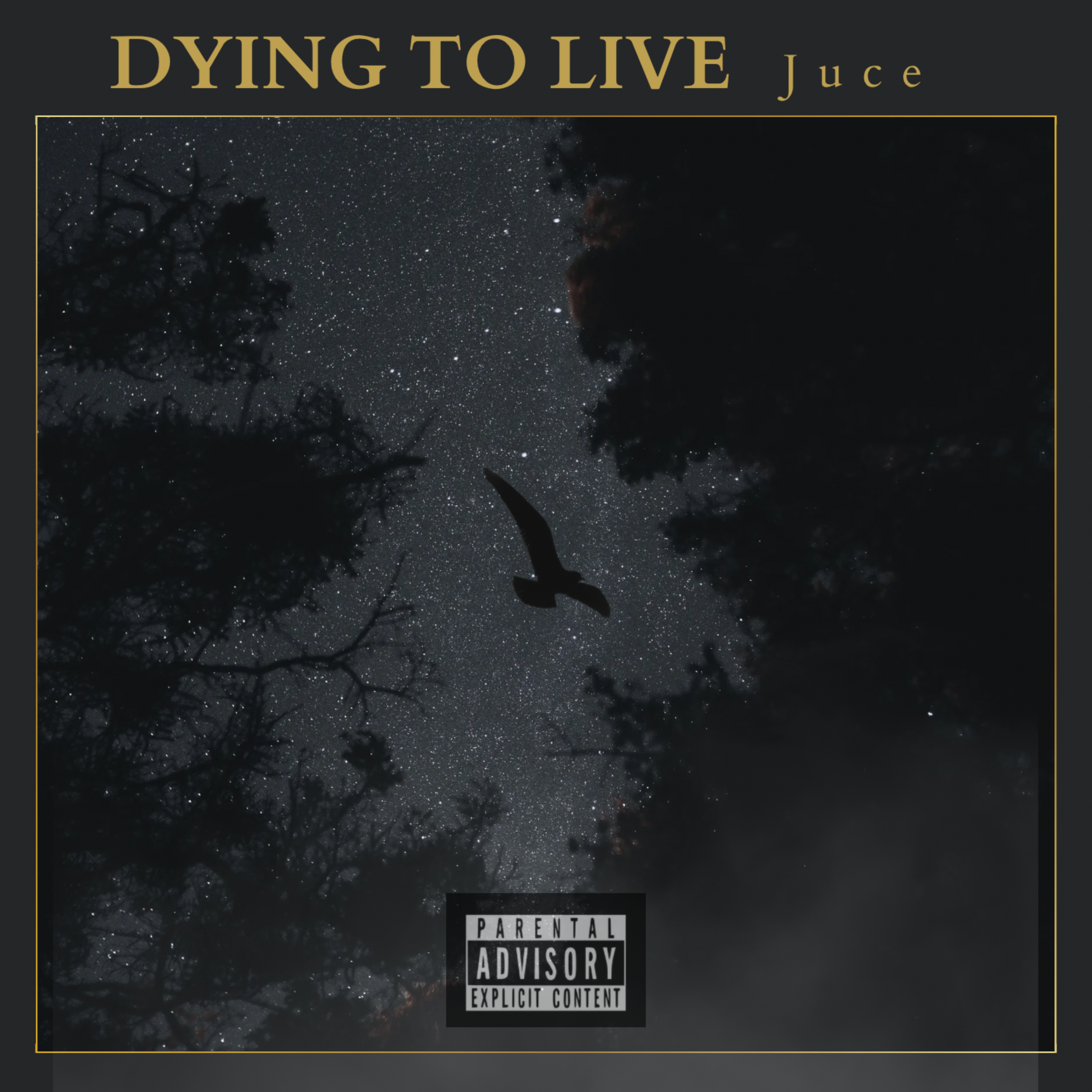 Dying To Live artwork