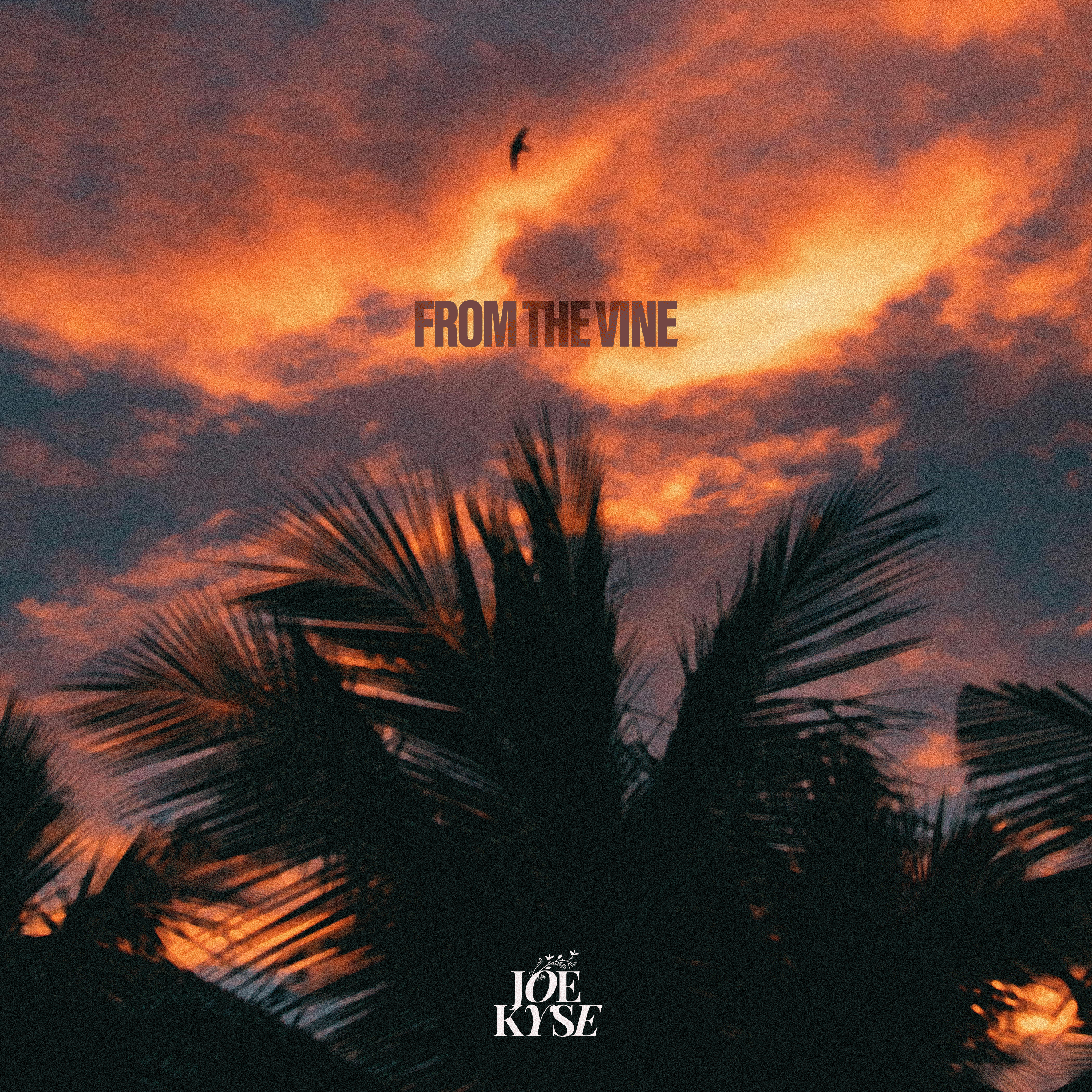 From The Vine artwork