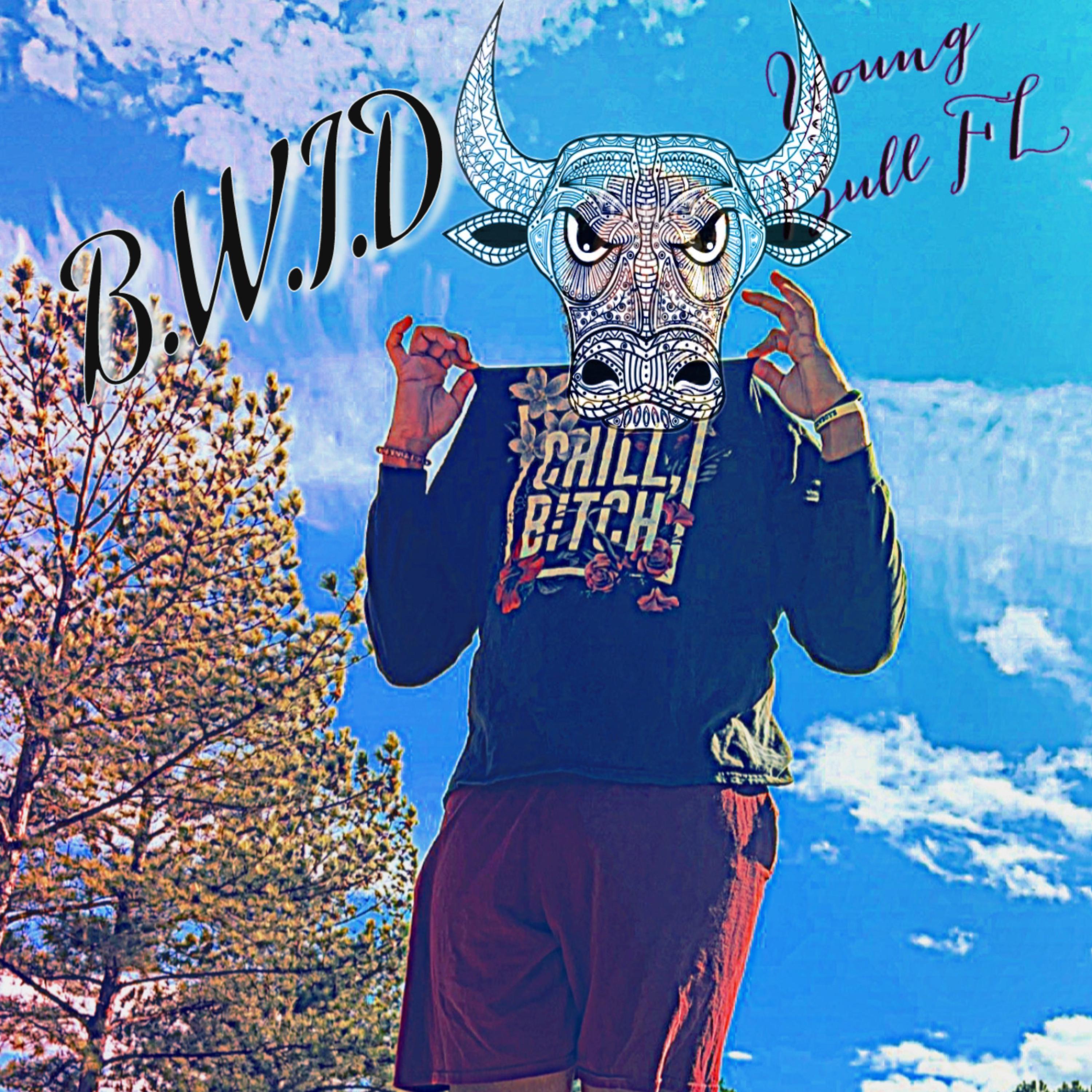 B.W.I.D artwork