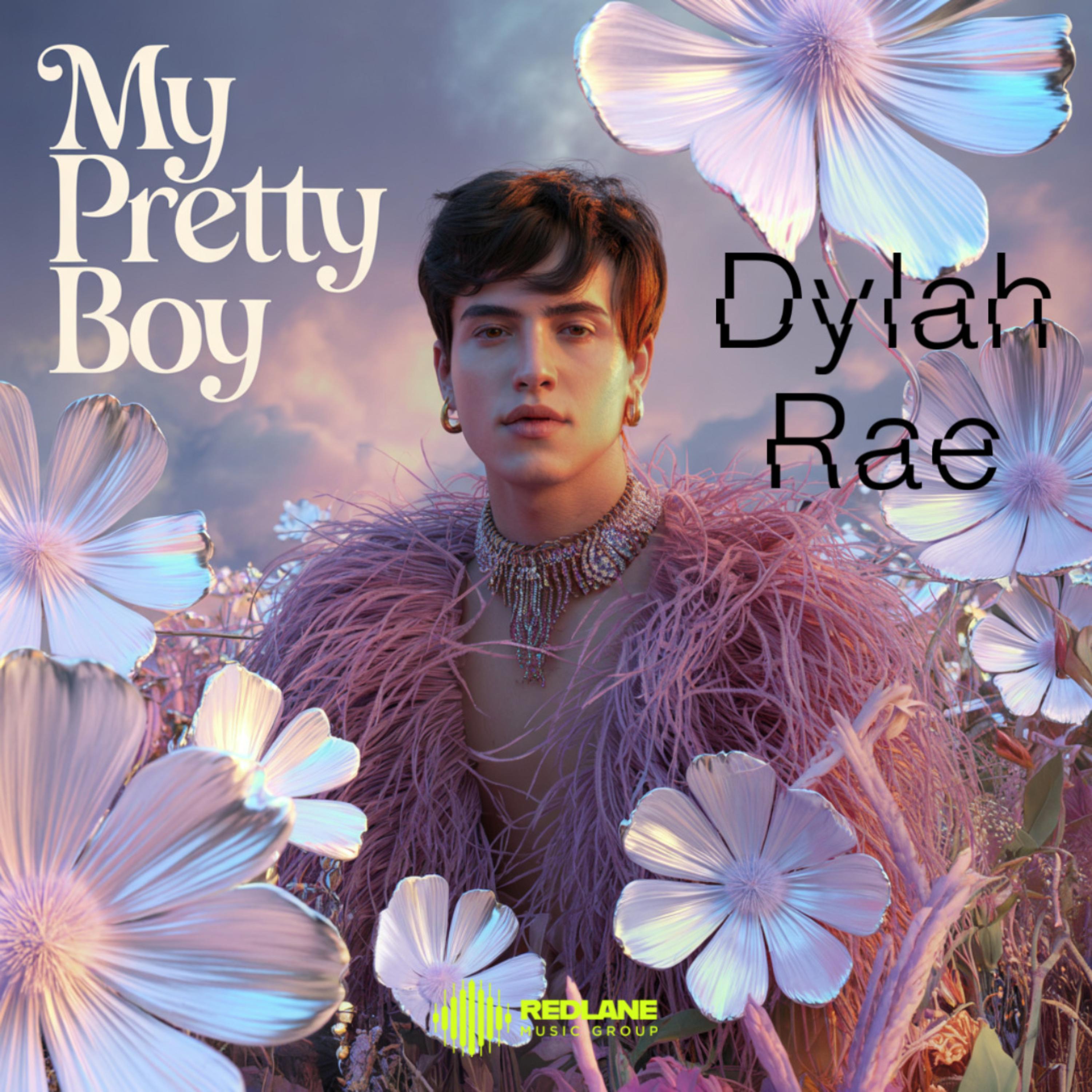 My Pretty Boy artwork