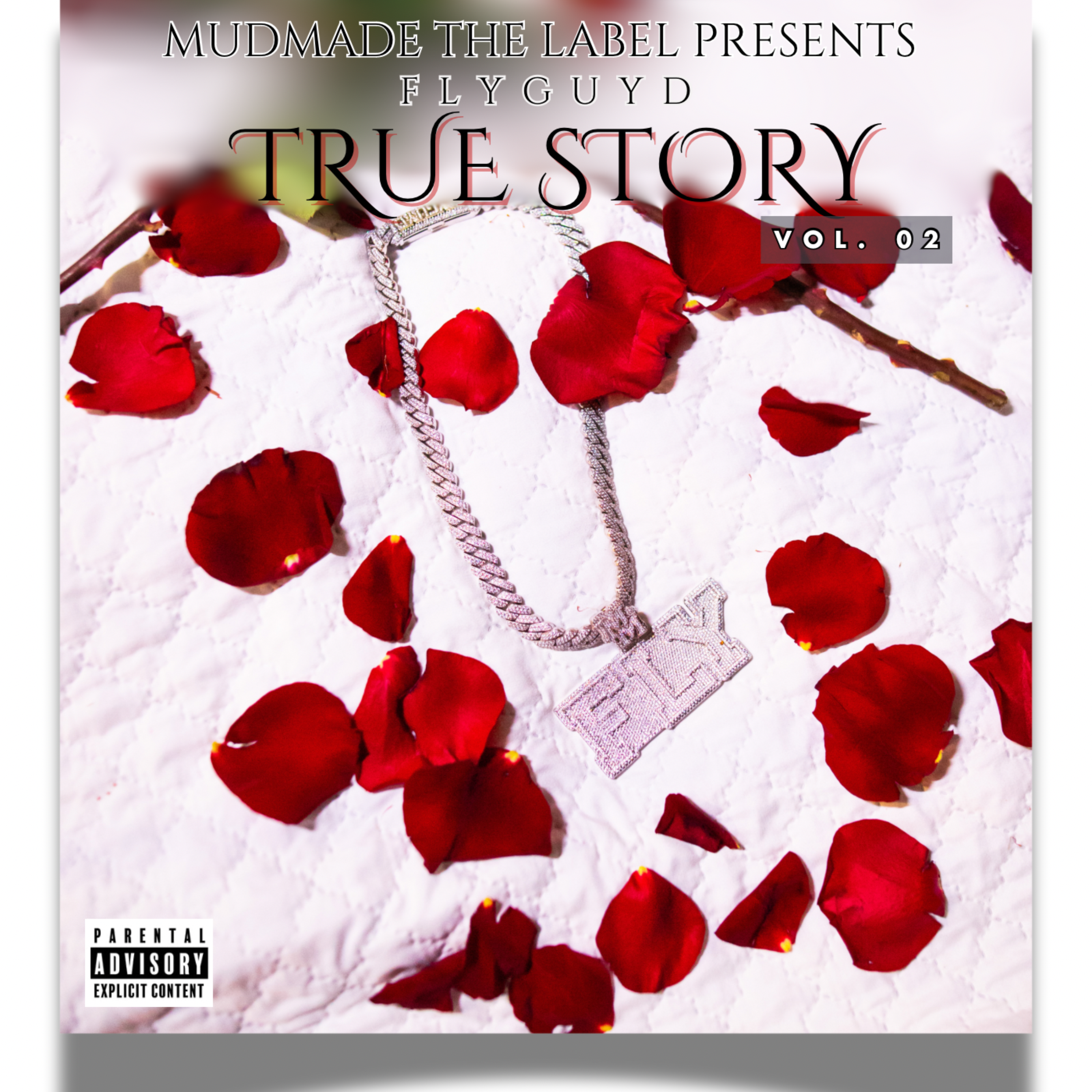TRUE STORY artwork