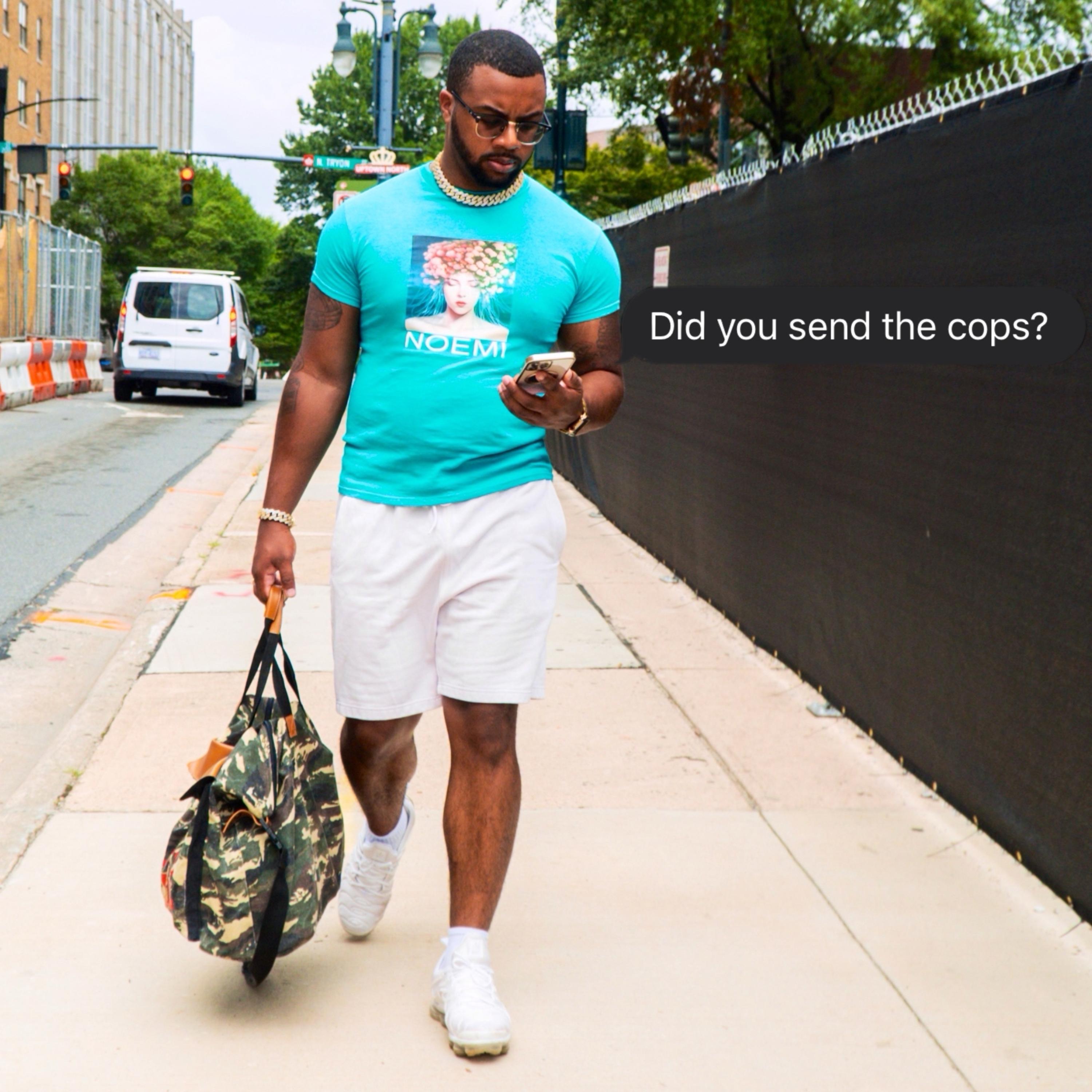Did you send the cops? artwork