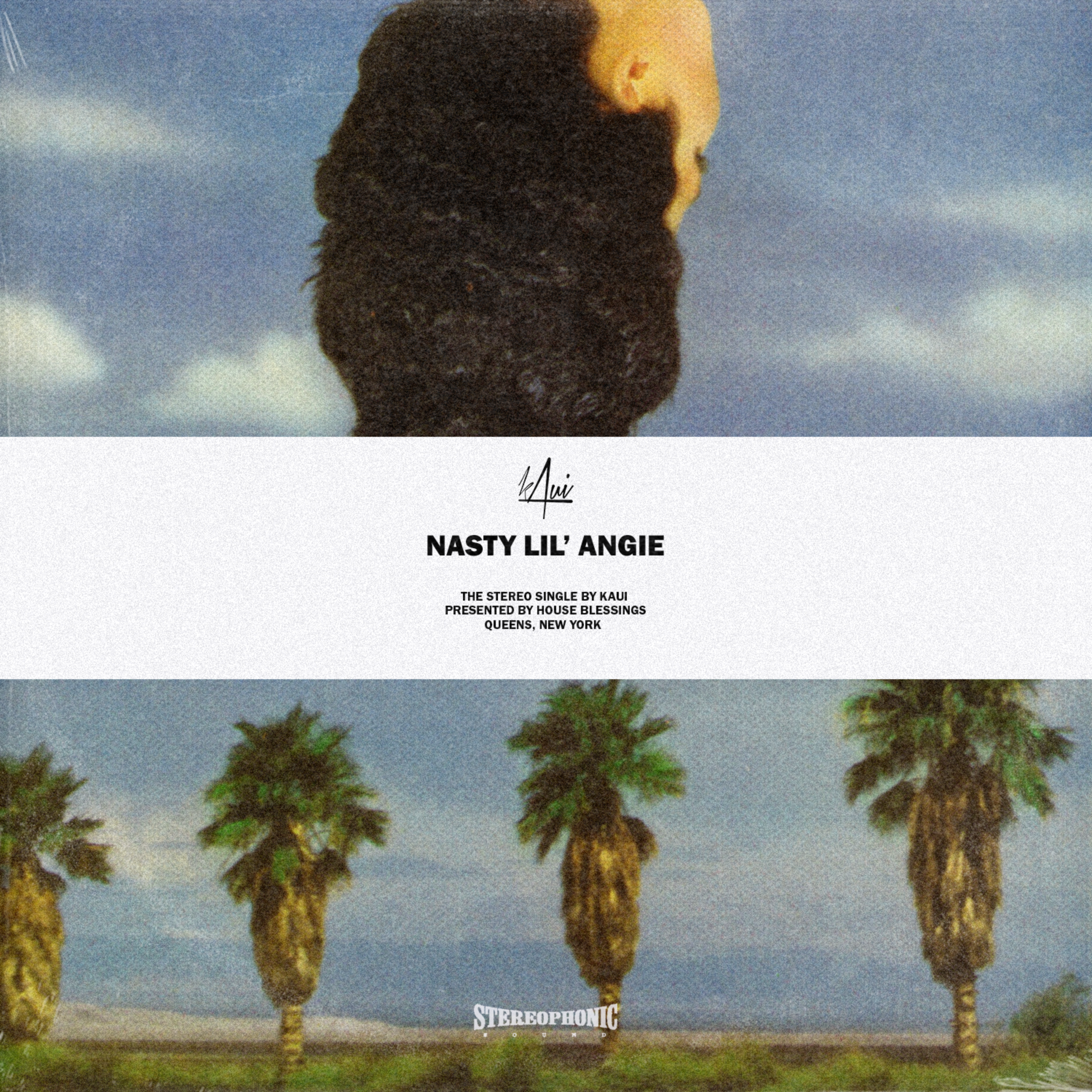 NLA by kAui cover art