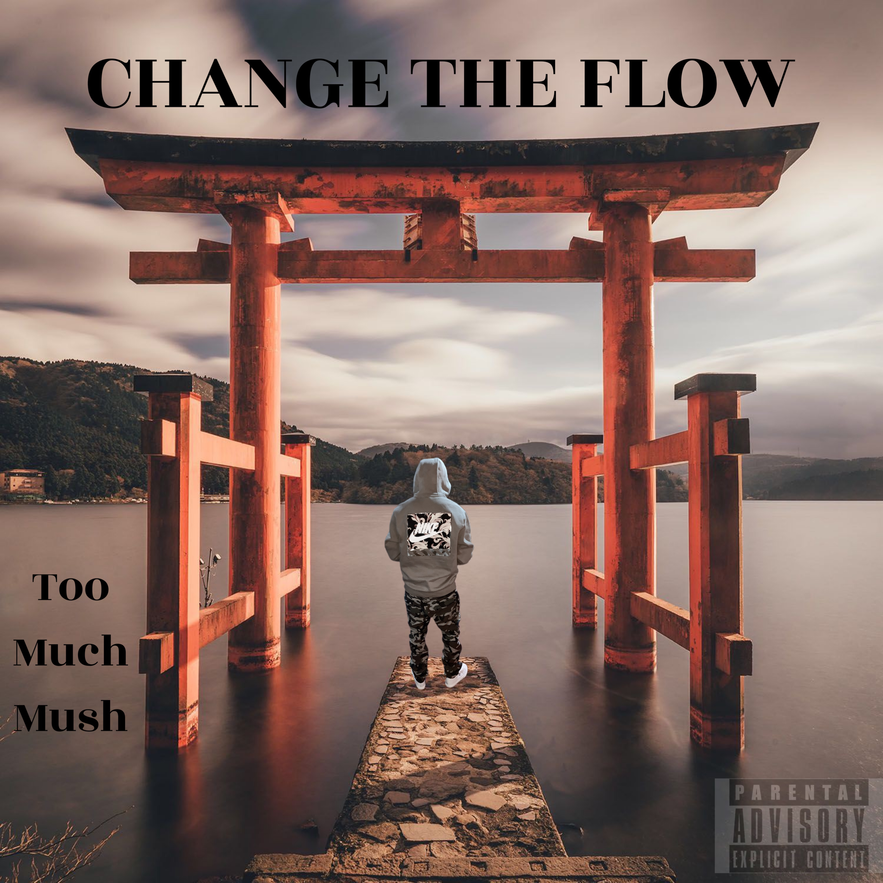 Change The Flow by TOOMUCHMUSH cover art