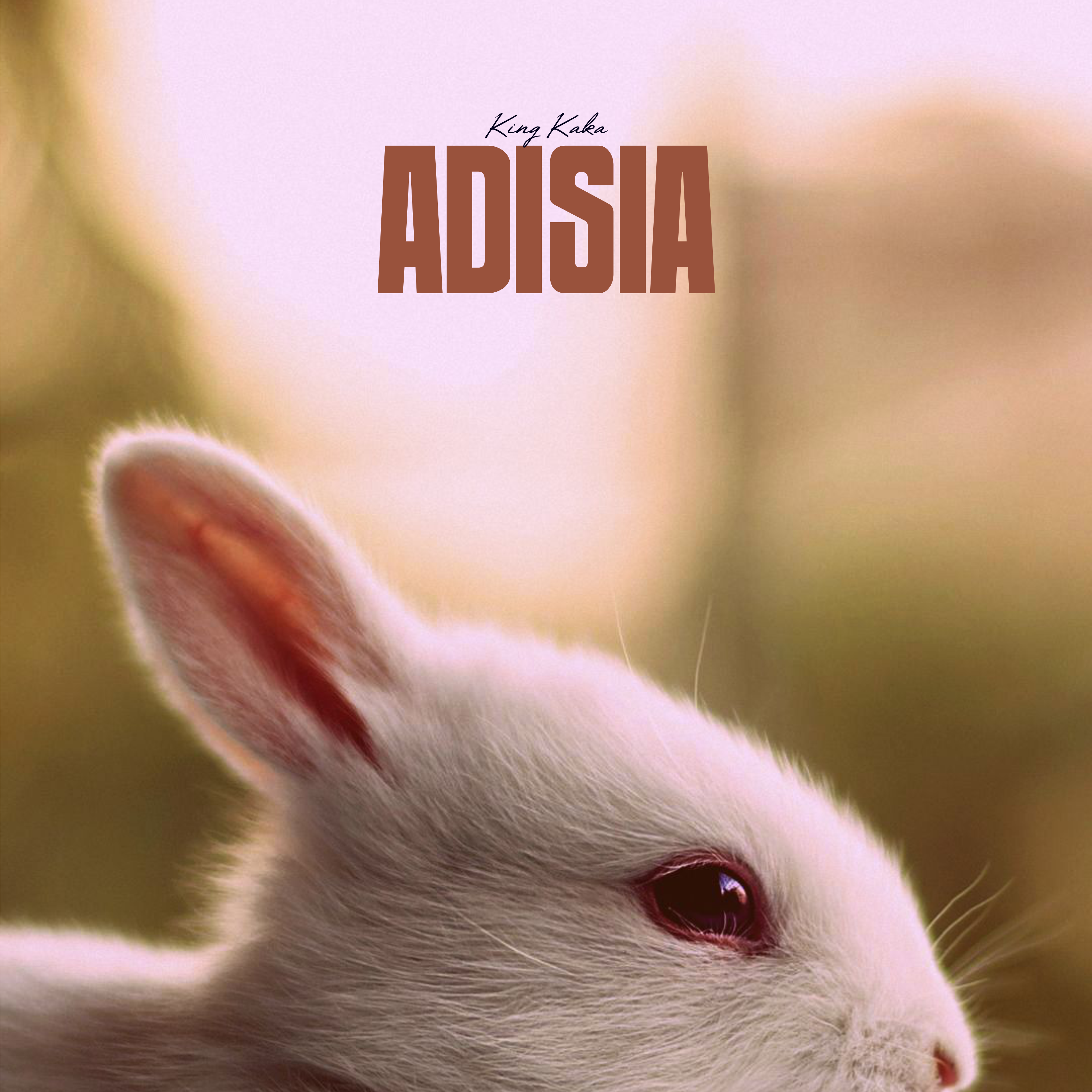 Adisia artwork