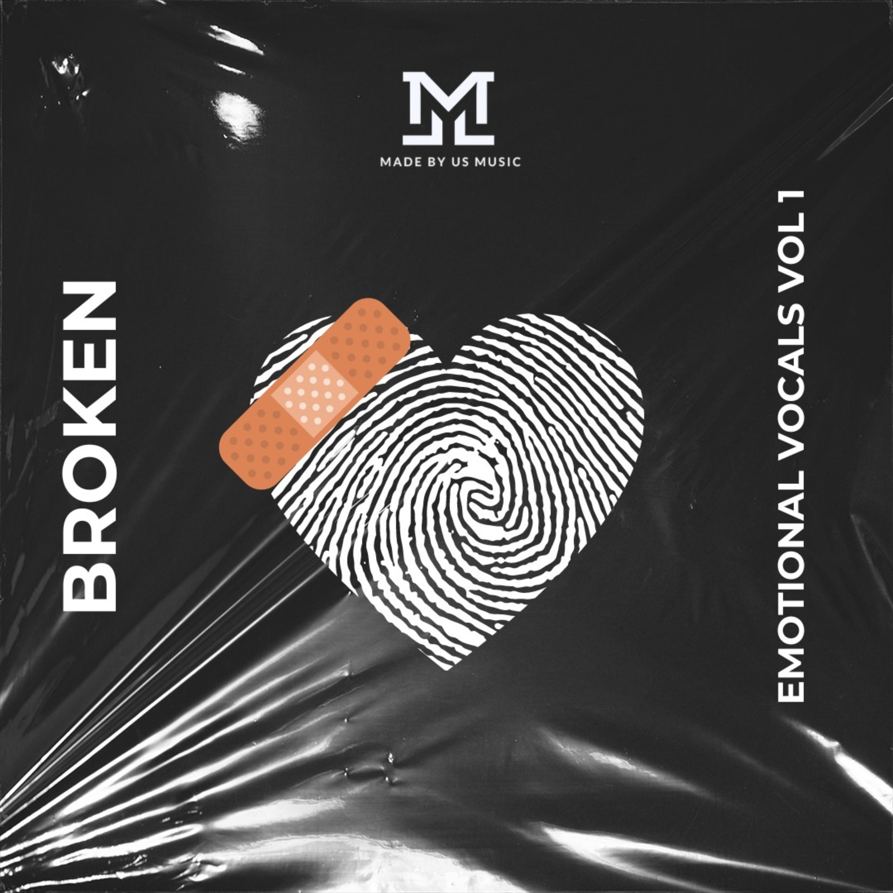 Broken Emotional Vocals Vol 1 artwork