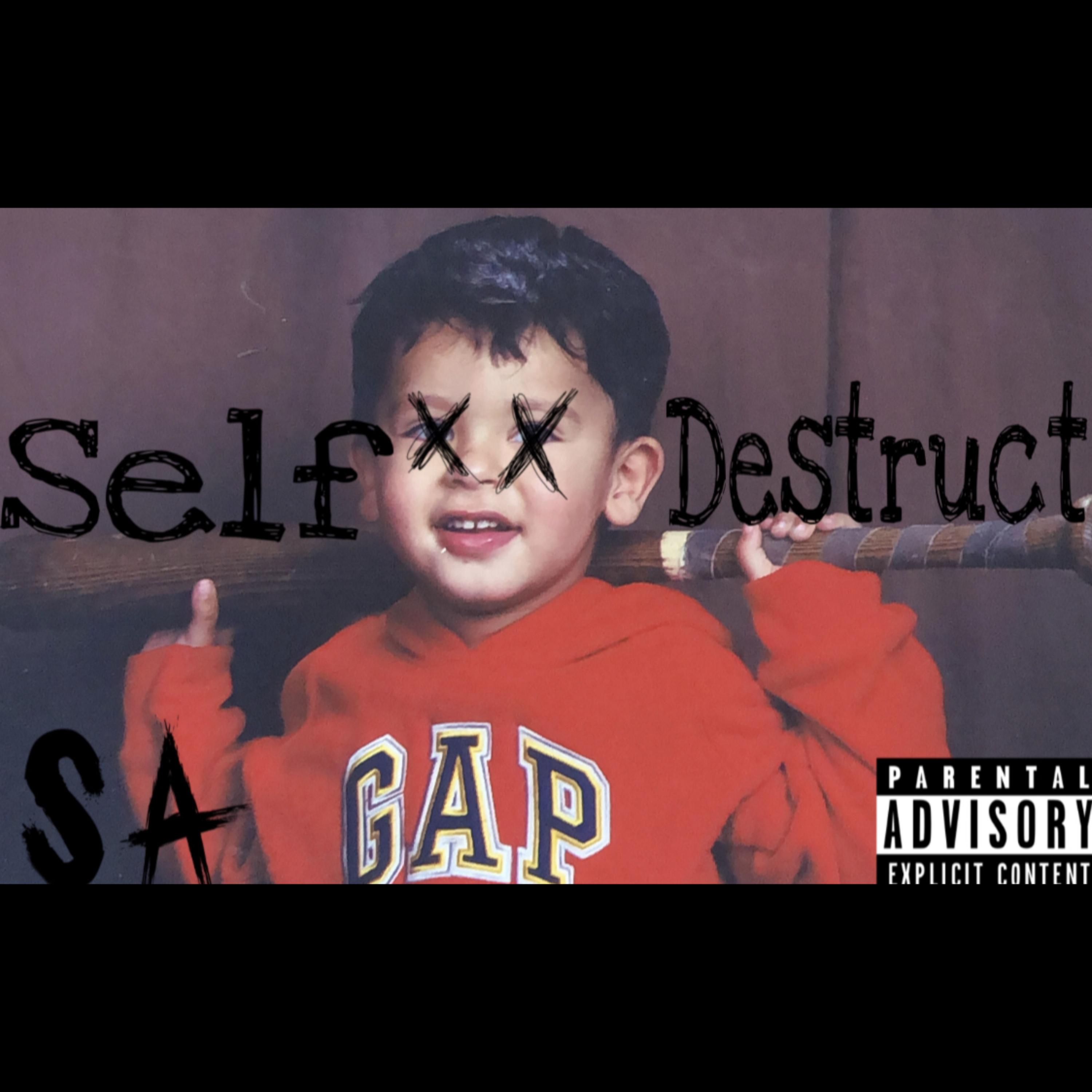 Self-Distract artwork