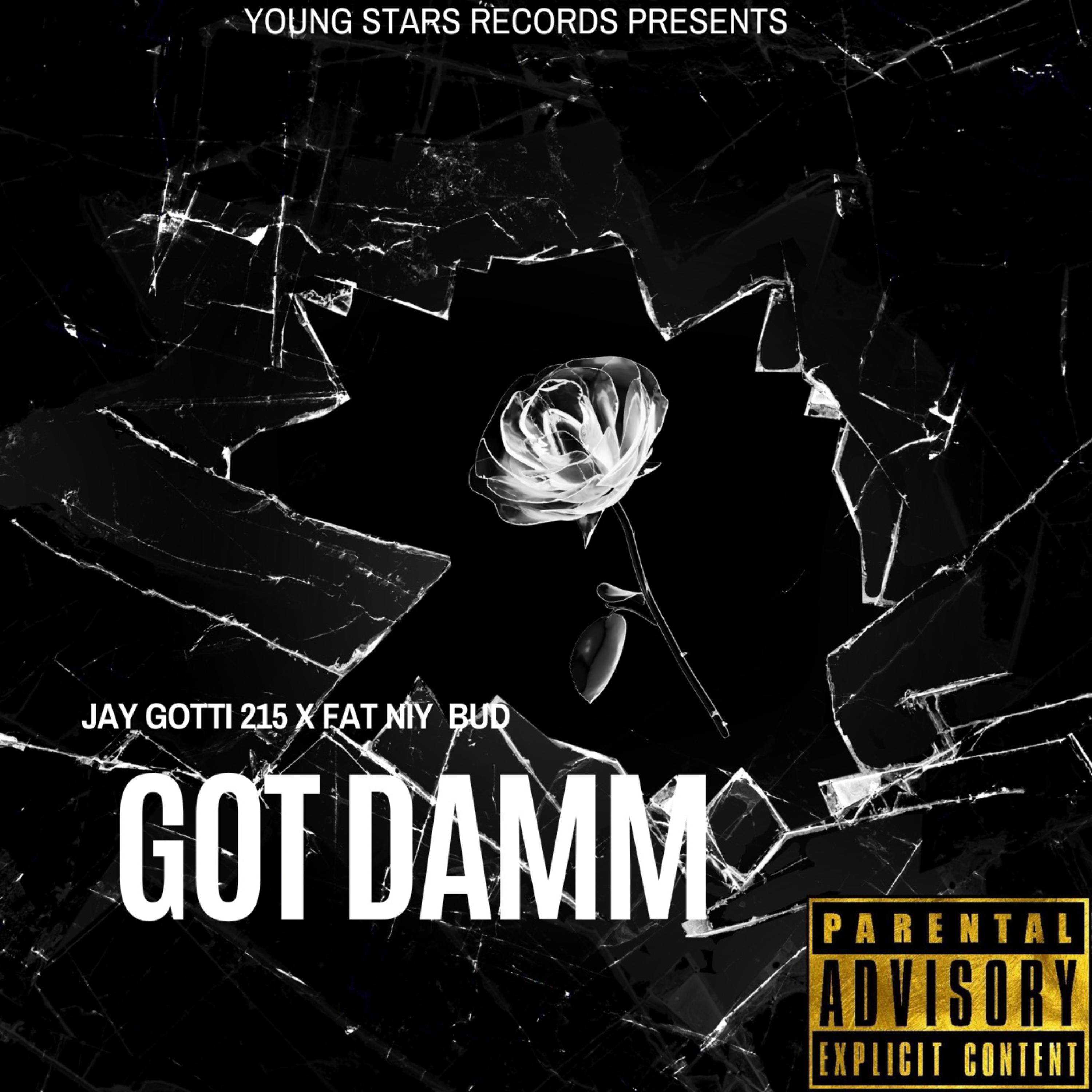 Got Damm by Jay Gotti 215 cover art