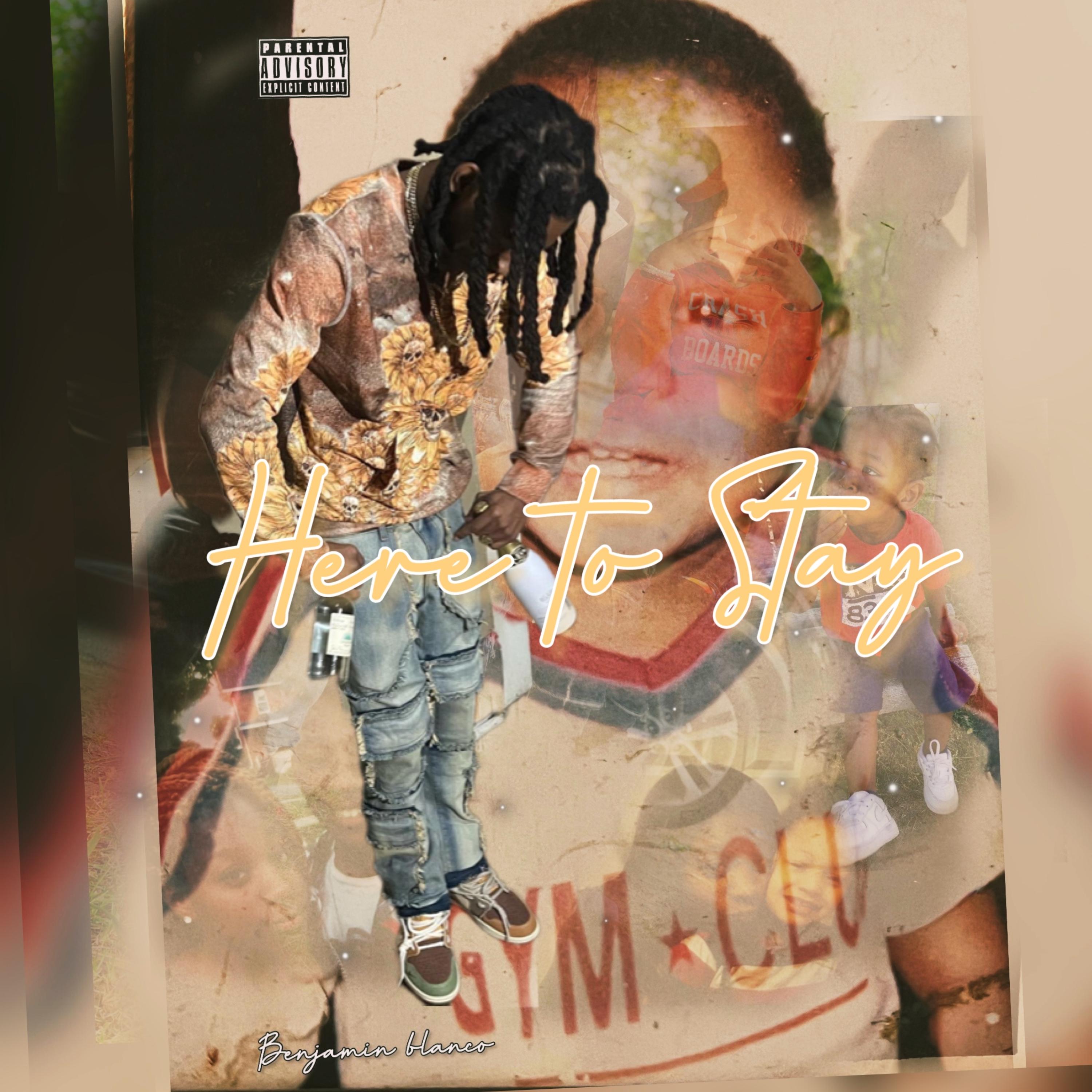 Here To Stay artwork