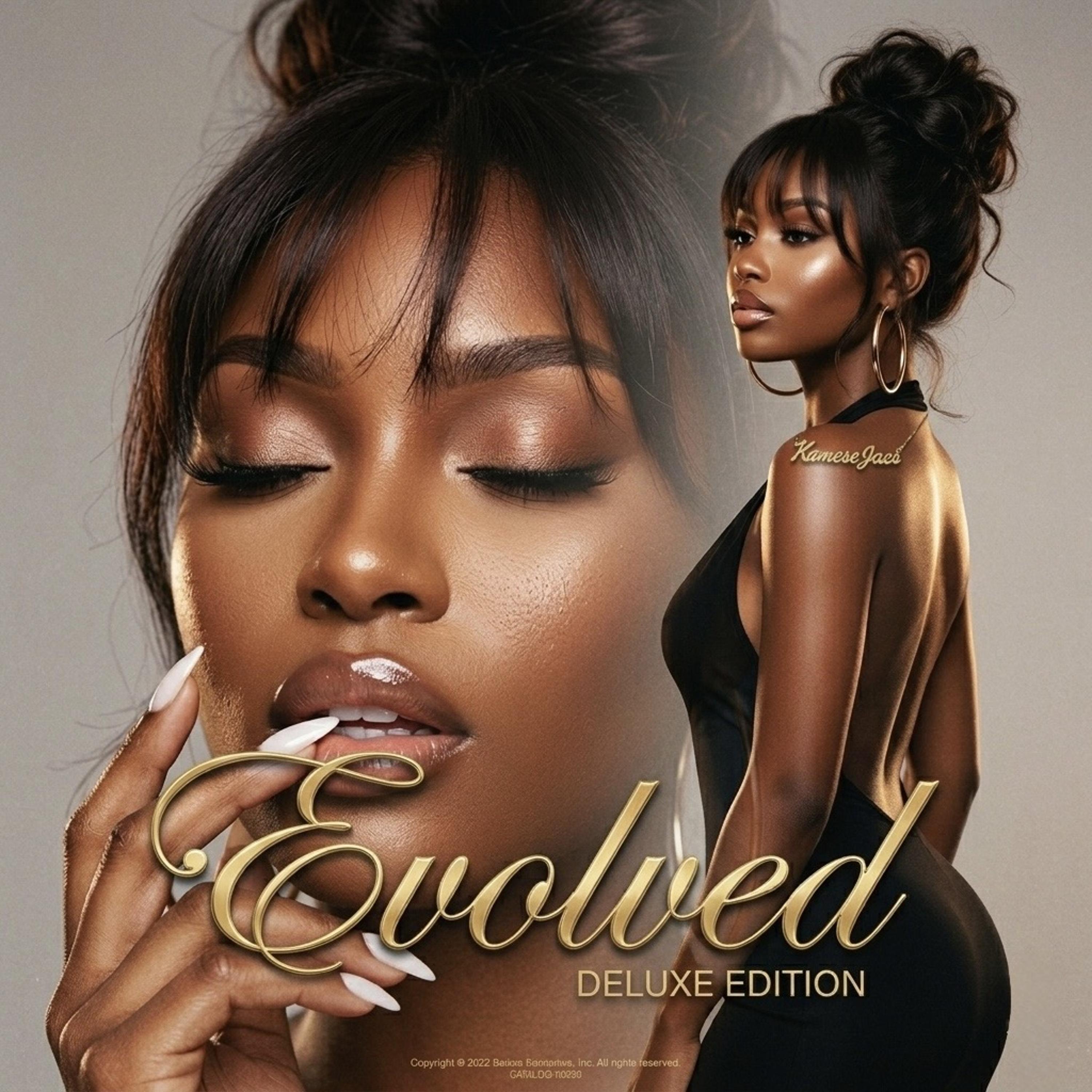 Evolved (The Story) artwork