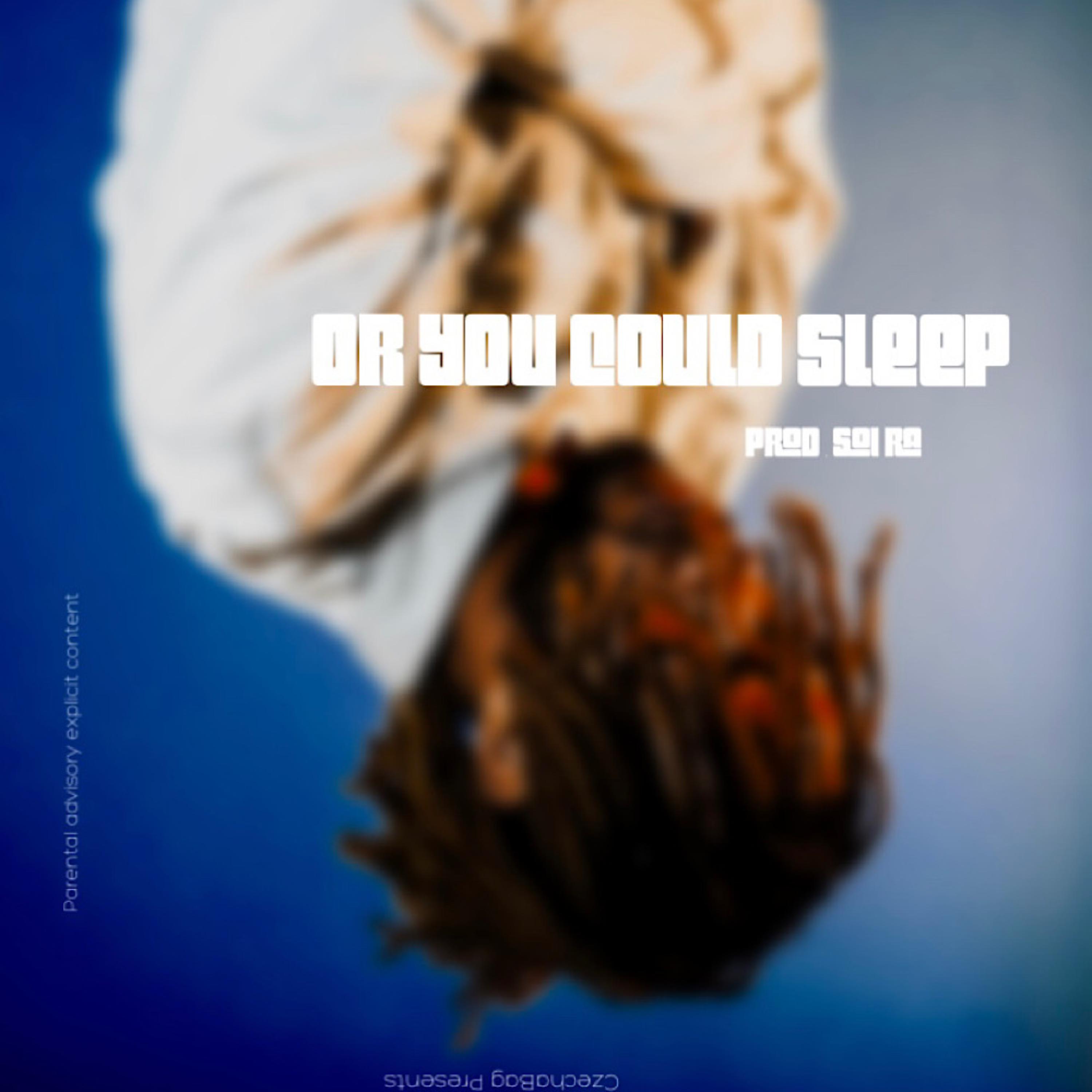 Or You Could Sleep! artwork