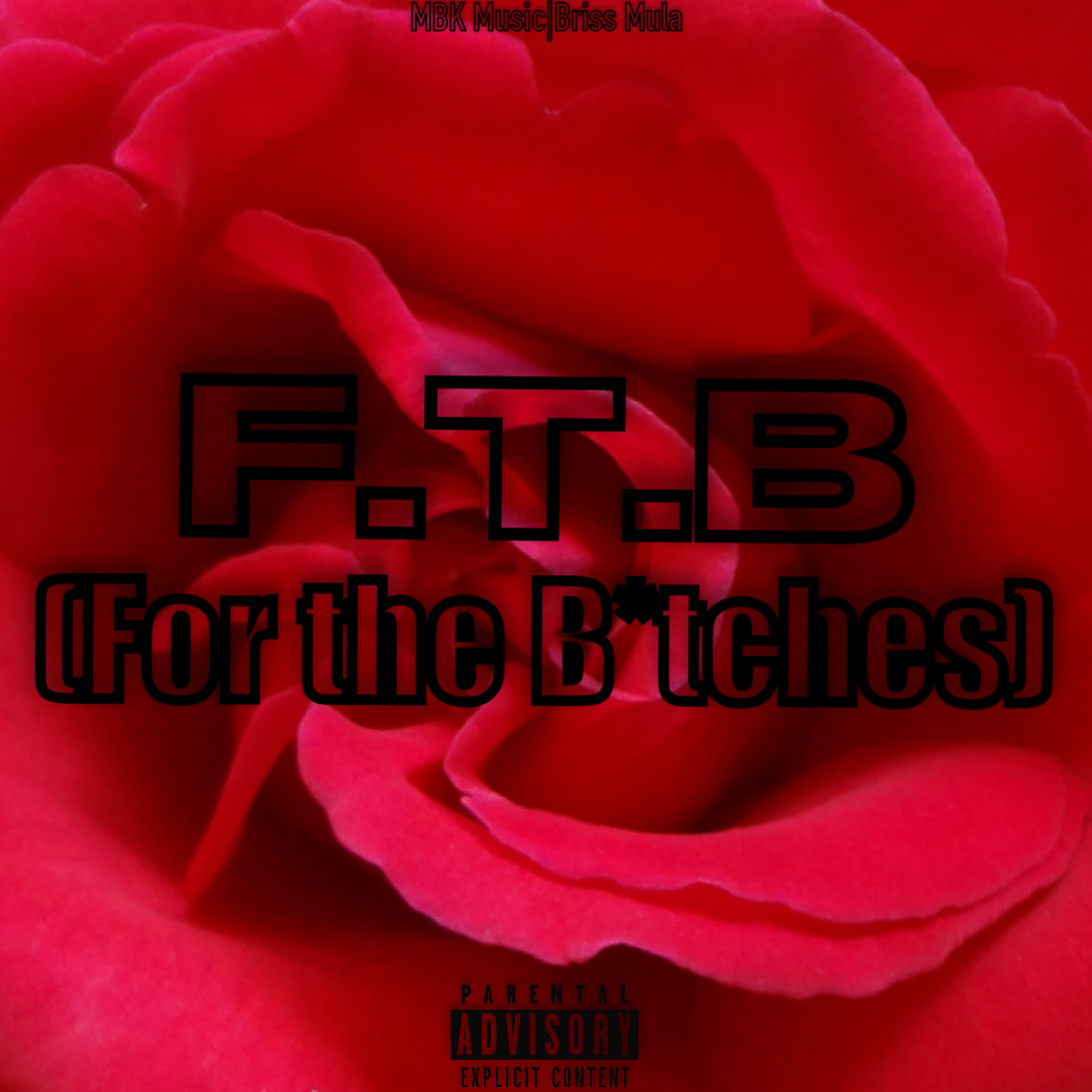 F.T.B (For The bitches) artwork