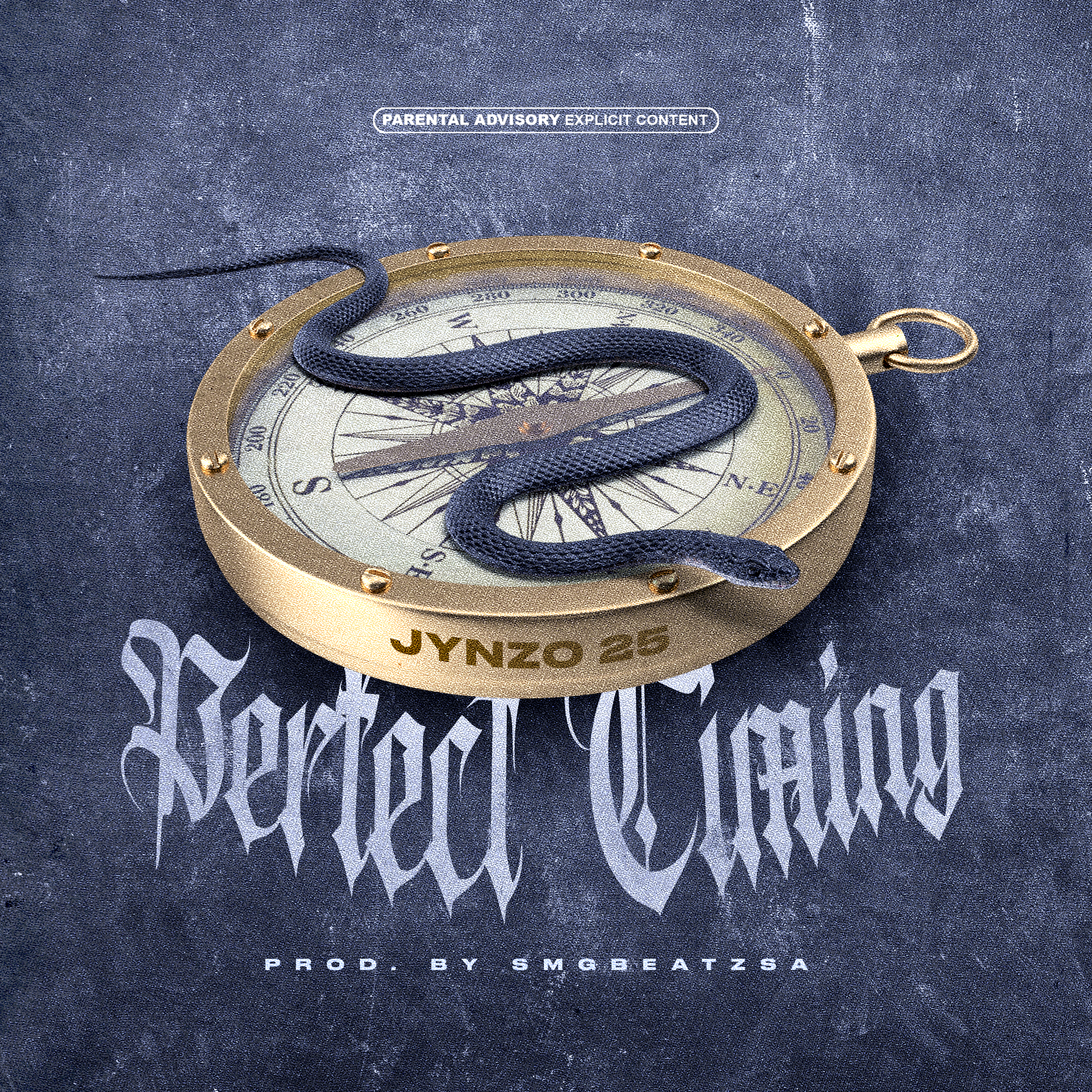 Perfect Timing by Jynzo cover art