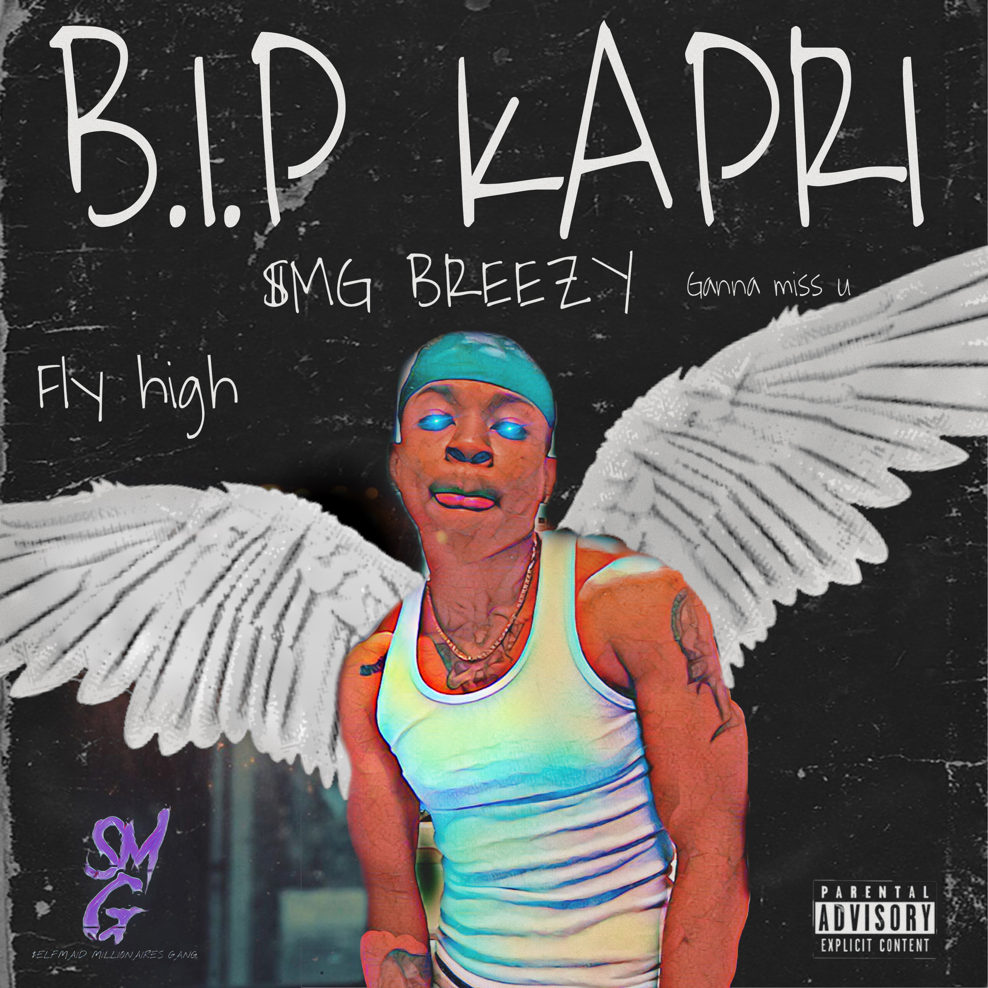 B.I.P KAPRI artwork