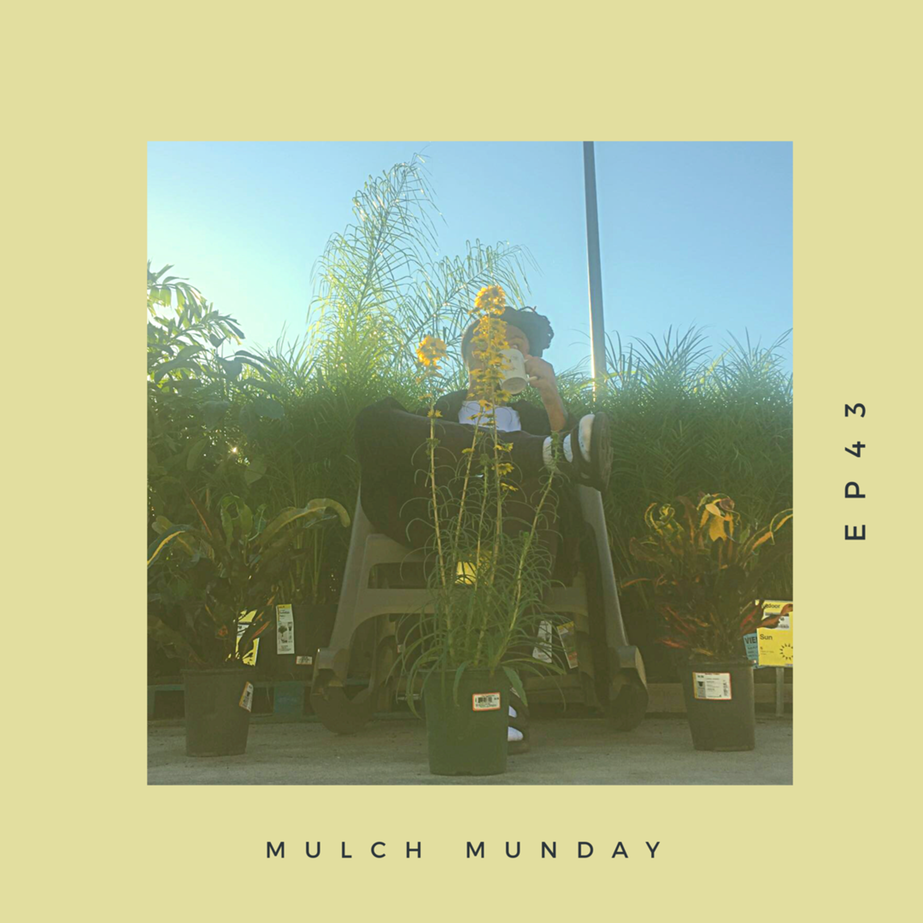 Rise & Shine (Mulch Ep. 43) artwork