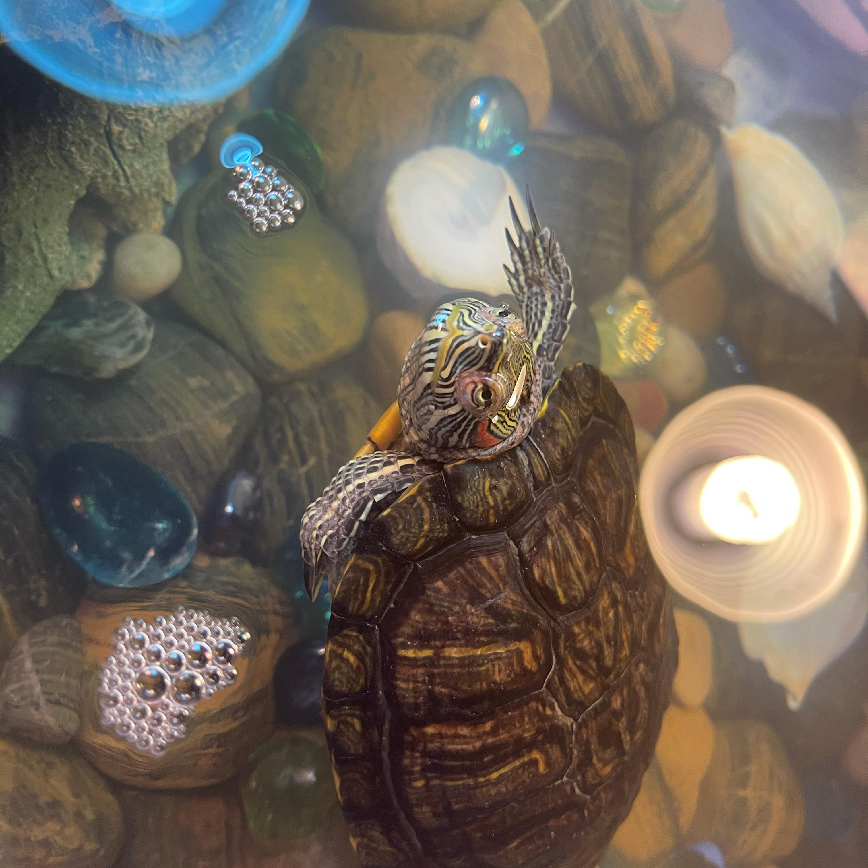 The ocean artwork
