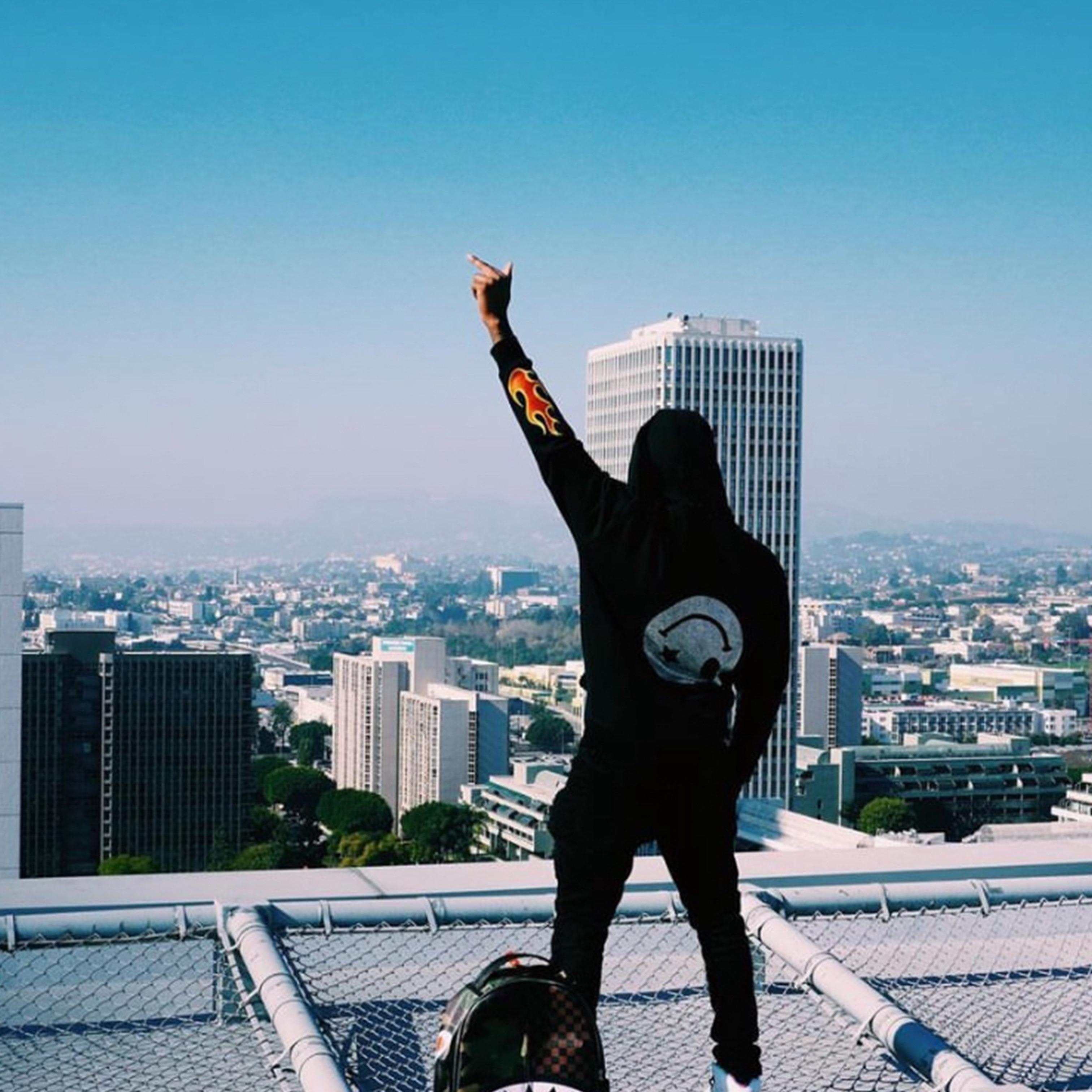 LA Vibes artwork