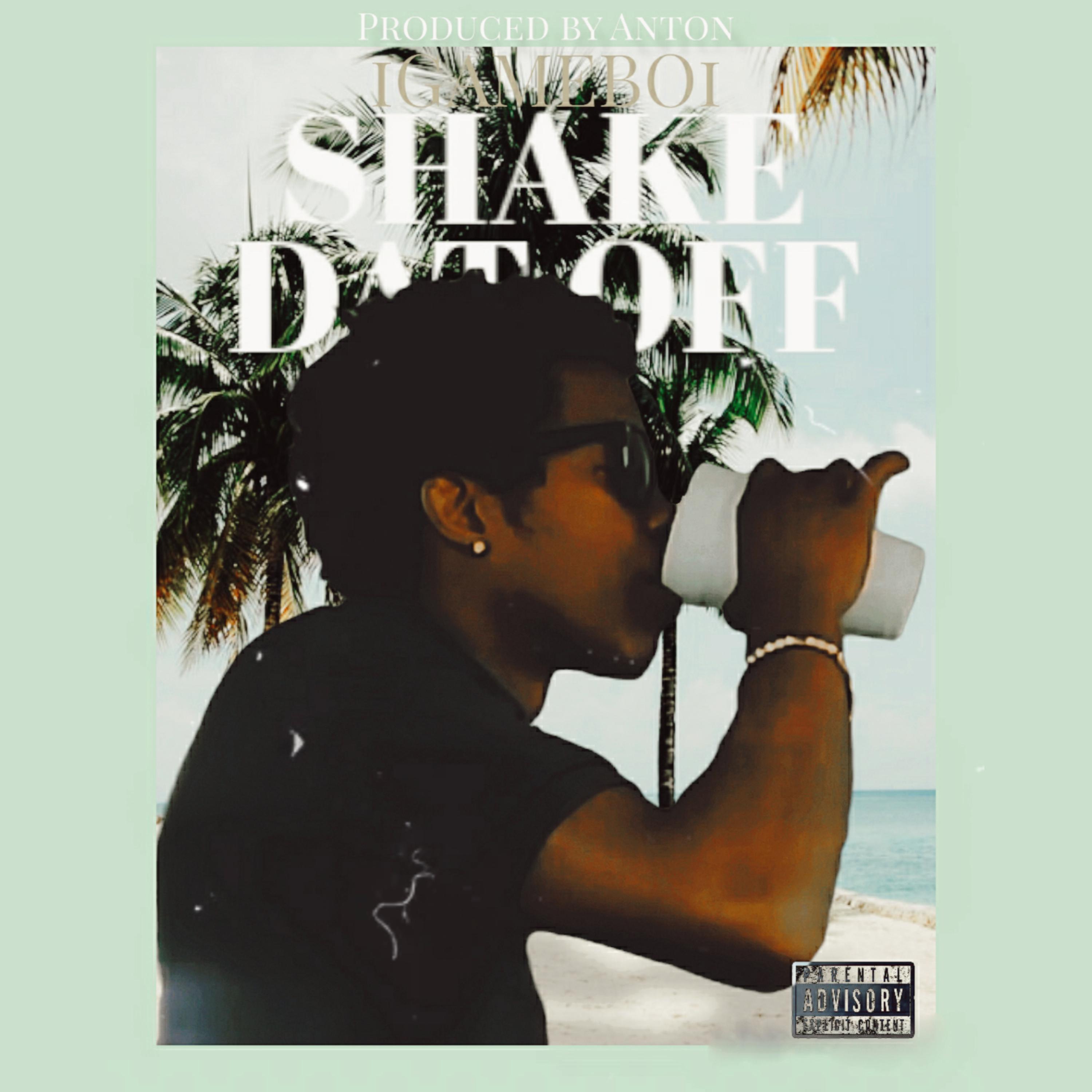 Shake Dat Off artwork