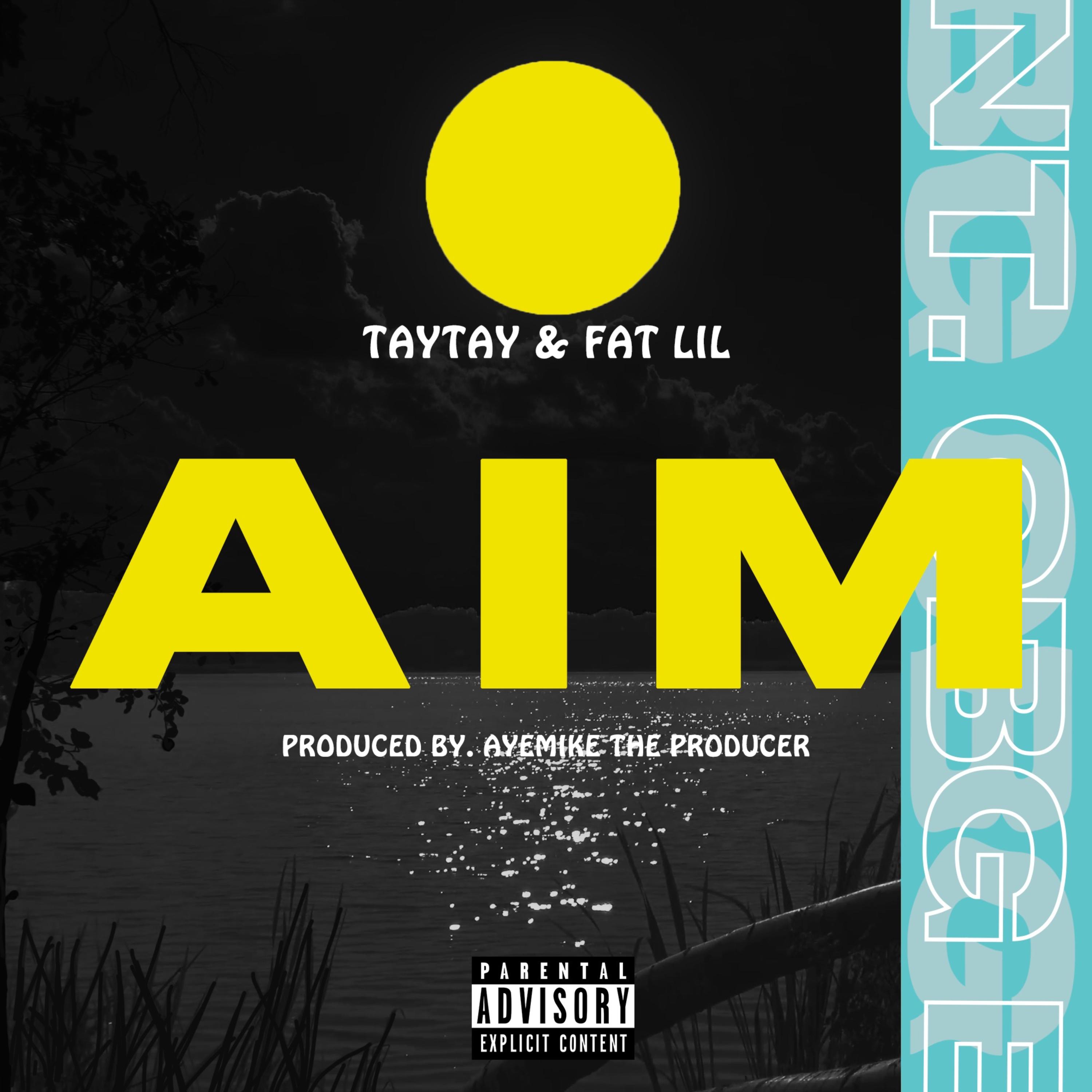 Aim artwork